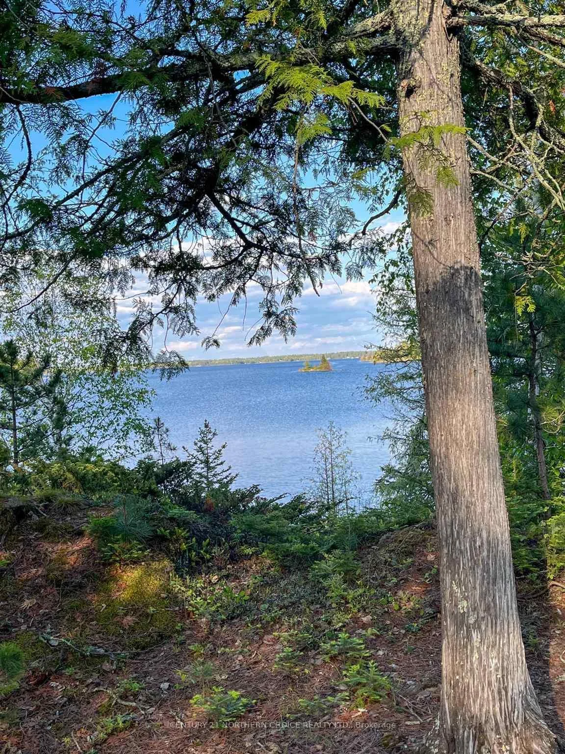 Photo 6 of 11 Hay Island E, Kenora, Keewatin — HOMEH