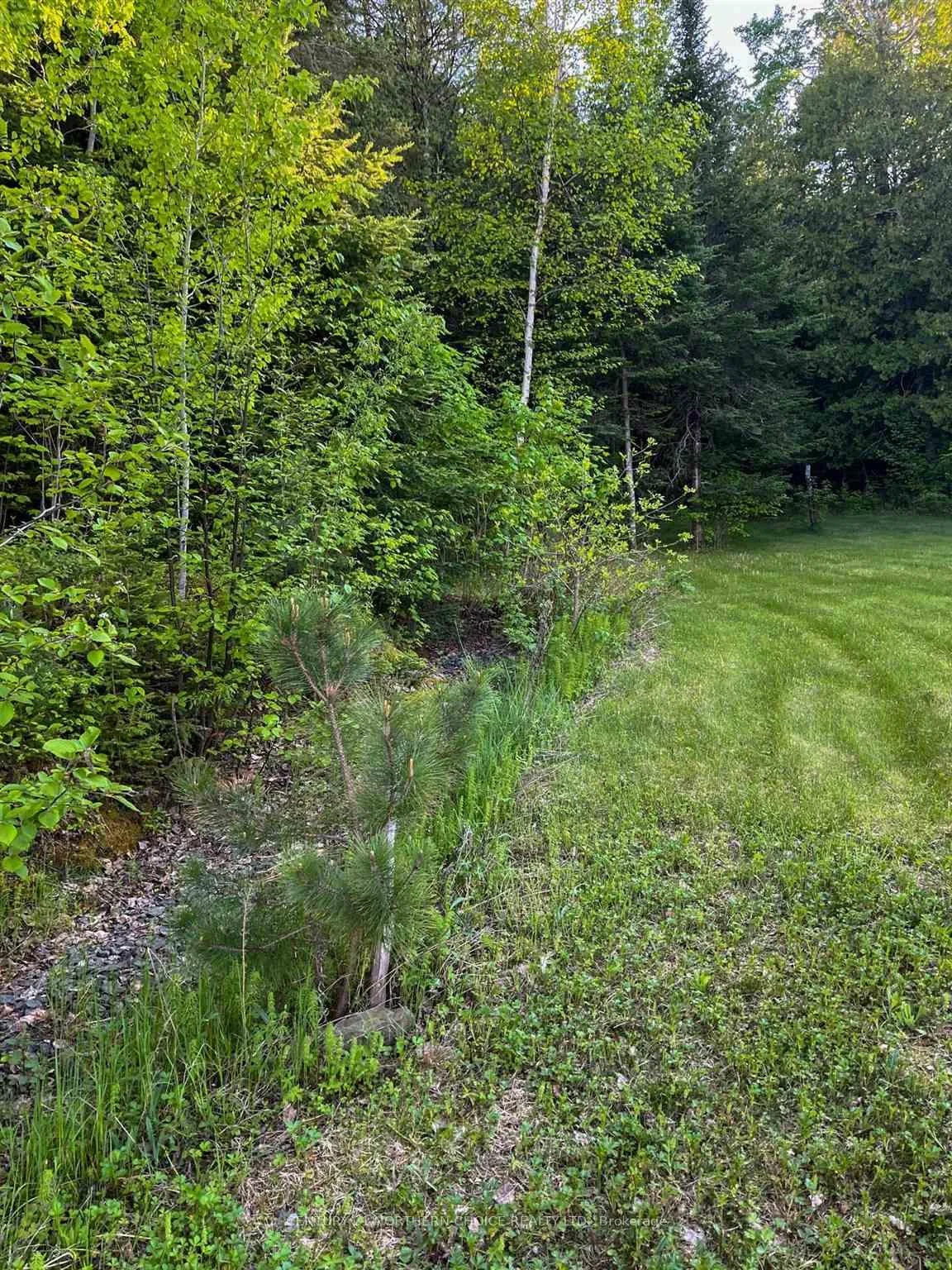 Photo 17 of 11 Hay Island E, Kenora, Keewatin — HOMEH
