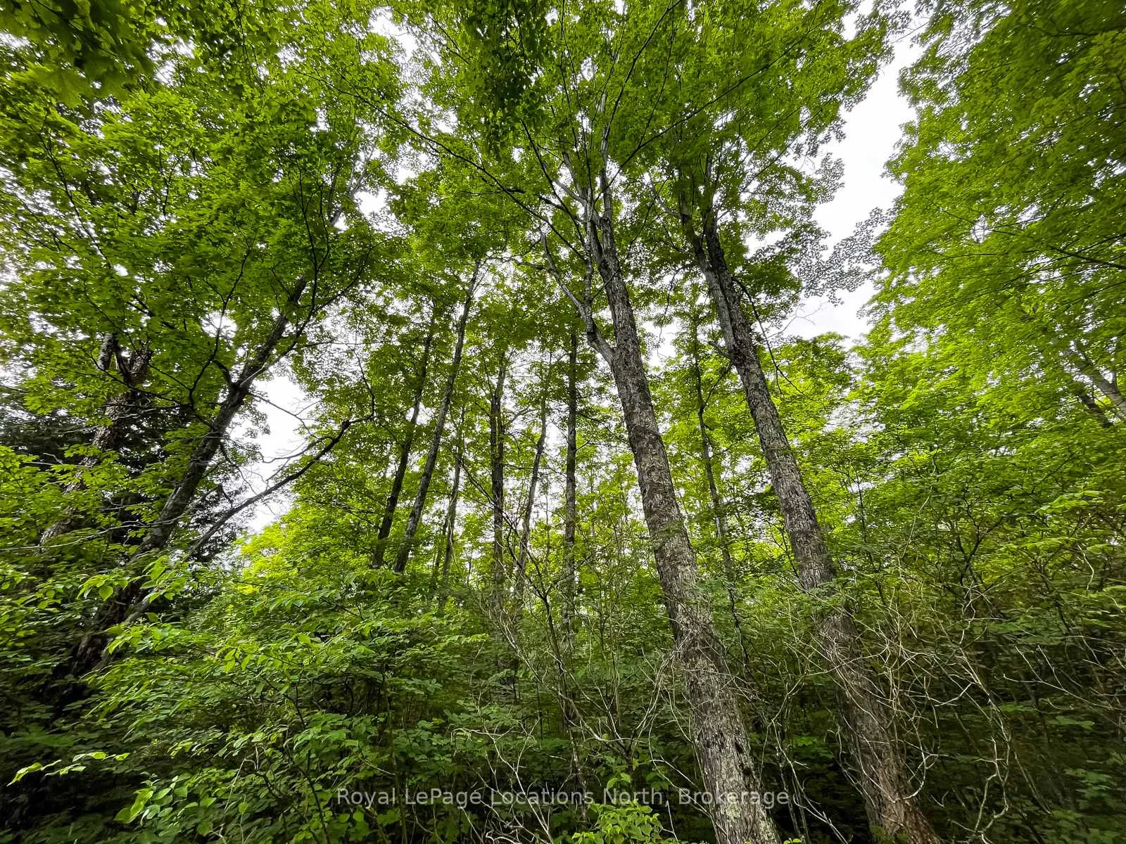 Photo 24 of 545413 4A Side Road N, Grey Highlands — HOMEH