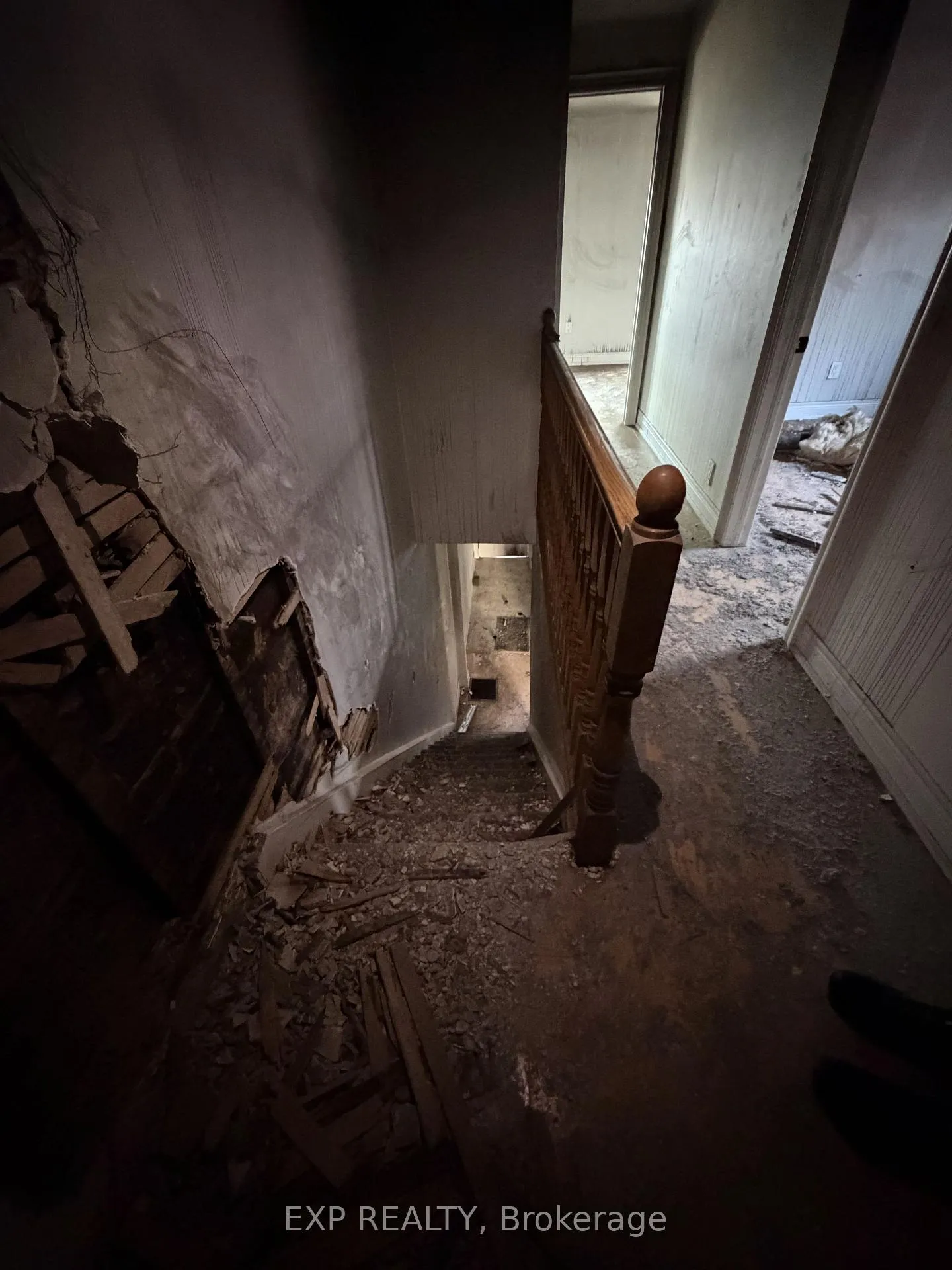 Photo 5 of 29 Case Street, Hamilton, Stripley — HOMEH