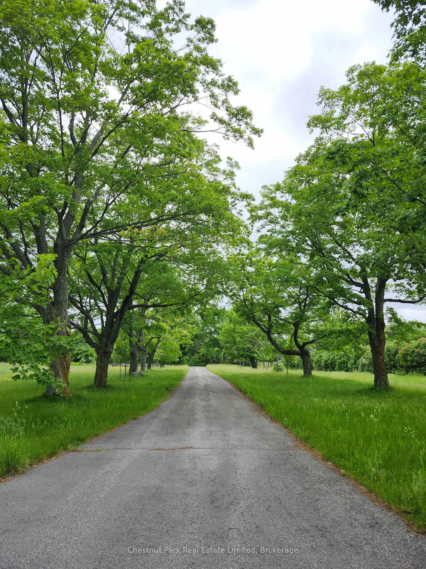 Photo 3 of 132 Mckinley Cross, Prince Edward County, Picton Ward — HOMEH