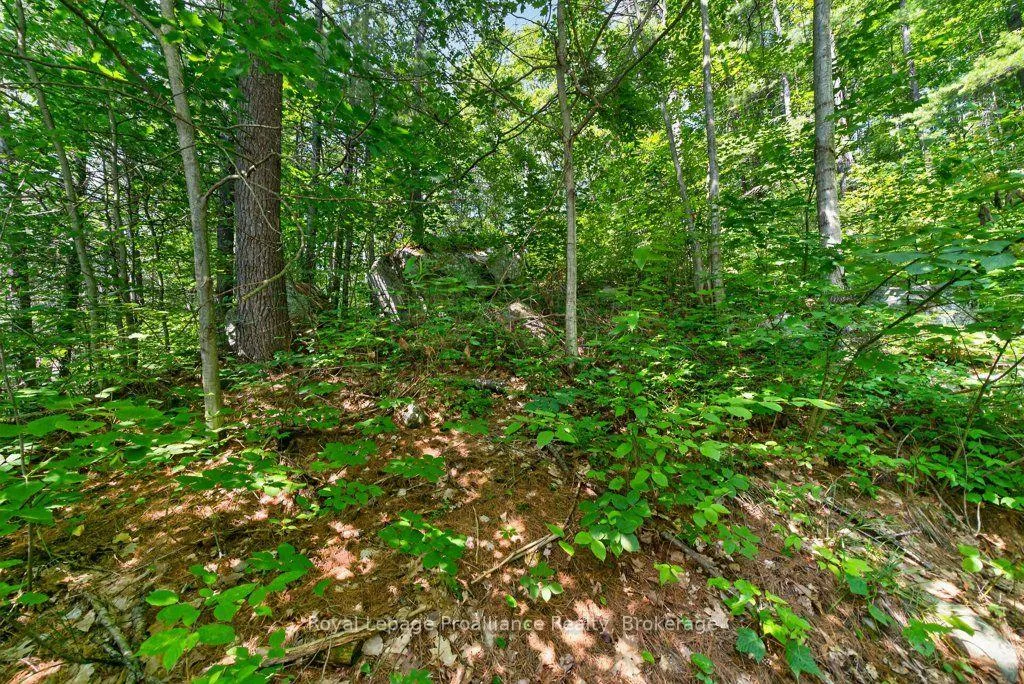 Photo 35 of 2807 Mackie Lake, Frontenac, Frontenac North — HOMEH