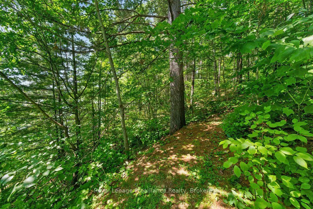 Photo 36 of 2807 Mackie Lake, Frontenac, Frontenac North — HOMEH