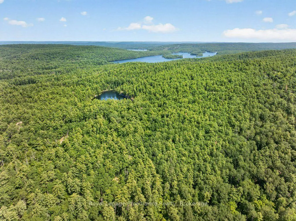 Photo 49 of 2807 Mackie Lake, Frontenac, Frontenac North — HOMEH
