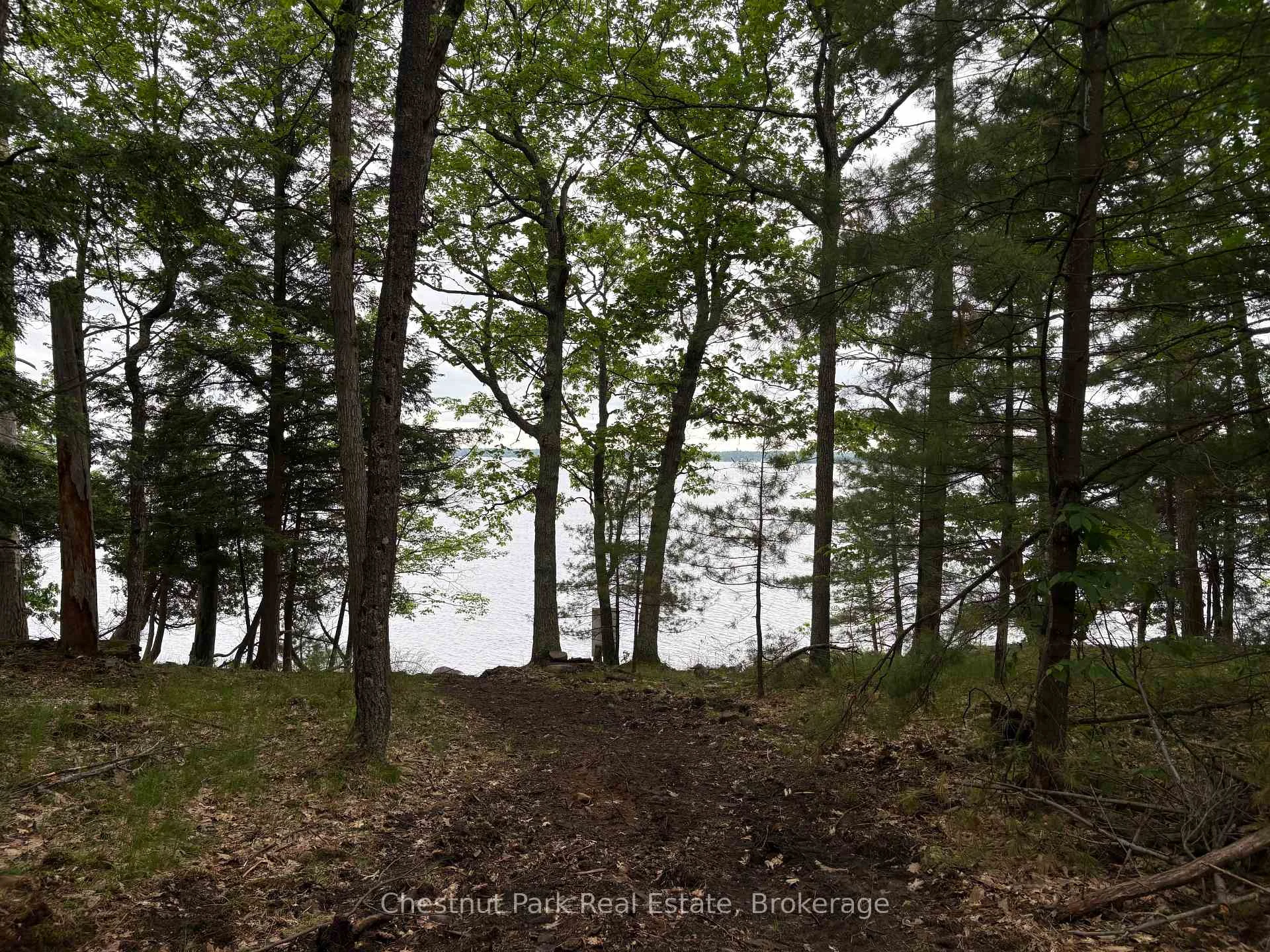 Photo 9 of 972 Browning Island, Bracebridge, Muskoka (N) — HOMEH