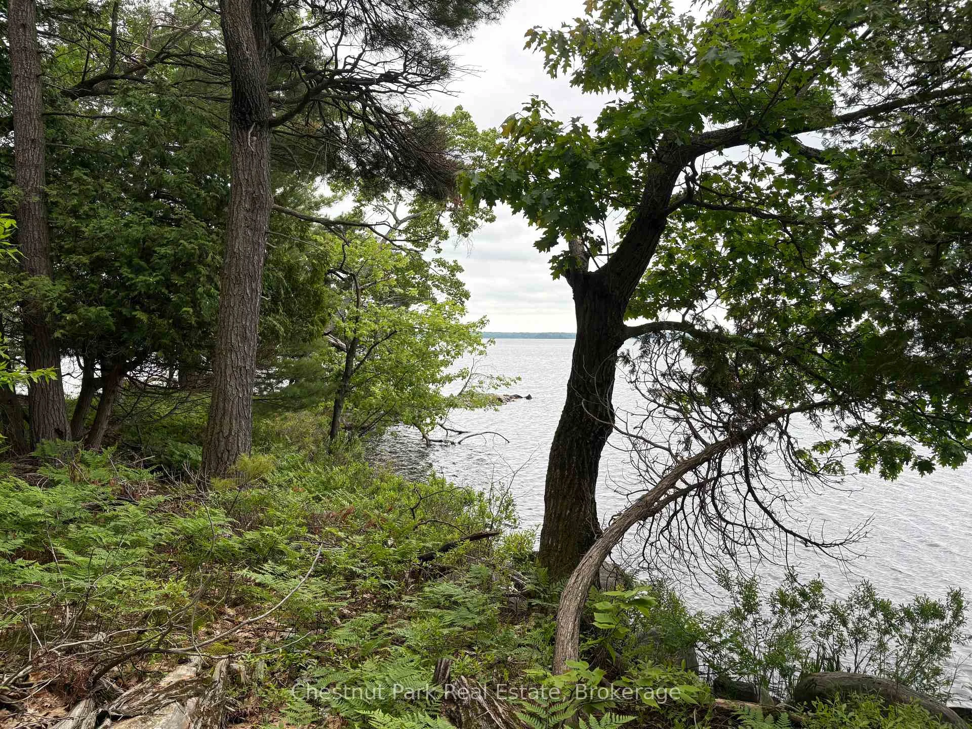 Photo 10 of 972 Browning Island, Bracebridge, Muskoka (N) — HOMEH