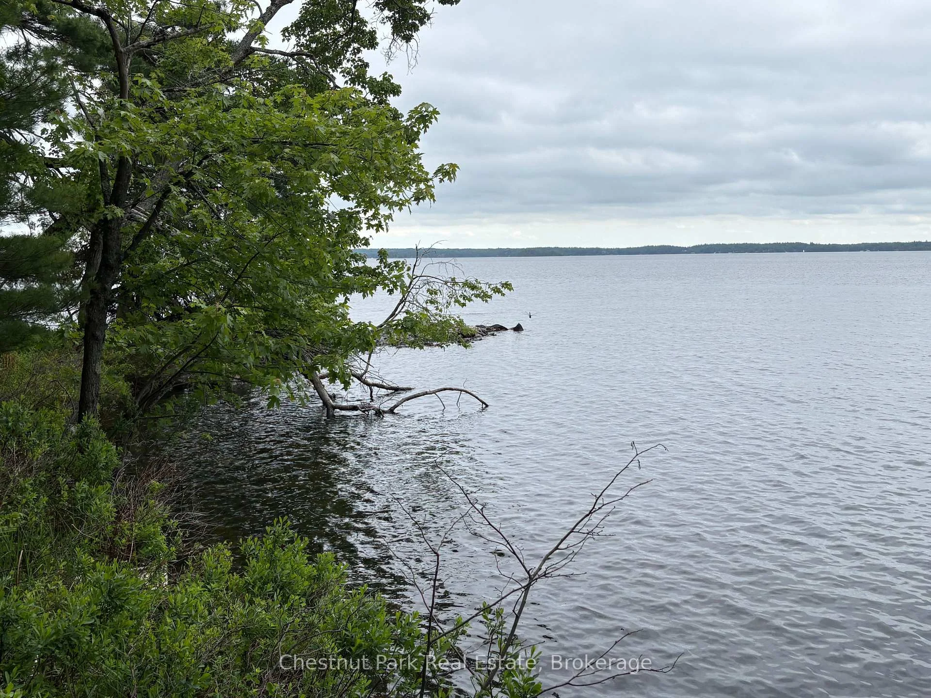 Photo 12 of 972 Browning Island, Bracebridge, Muskoka (N) — HOMEH
