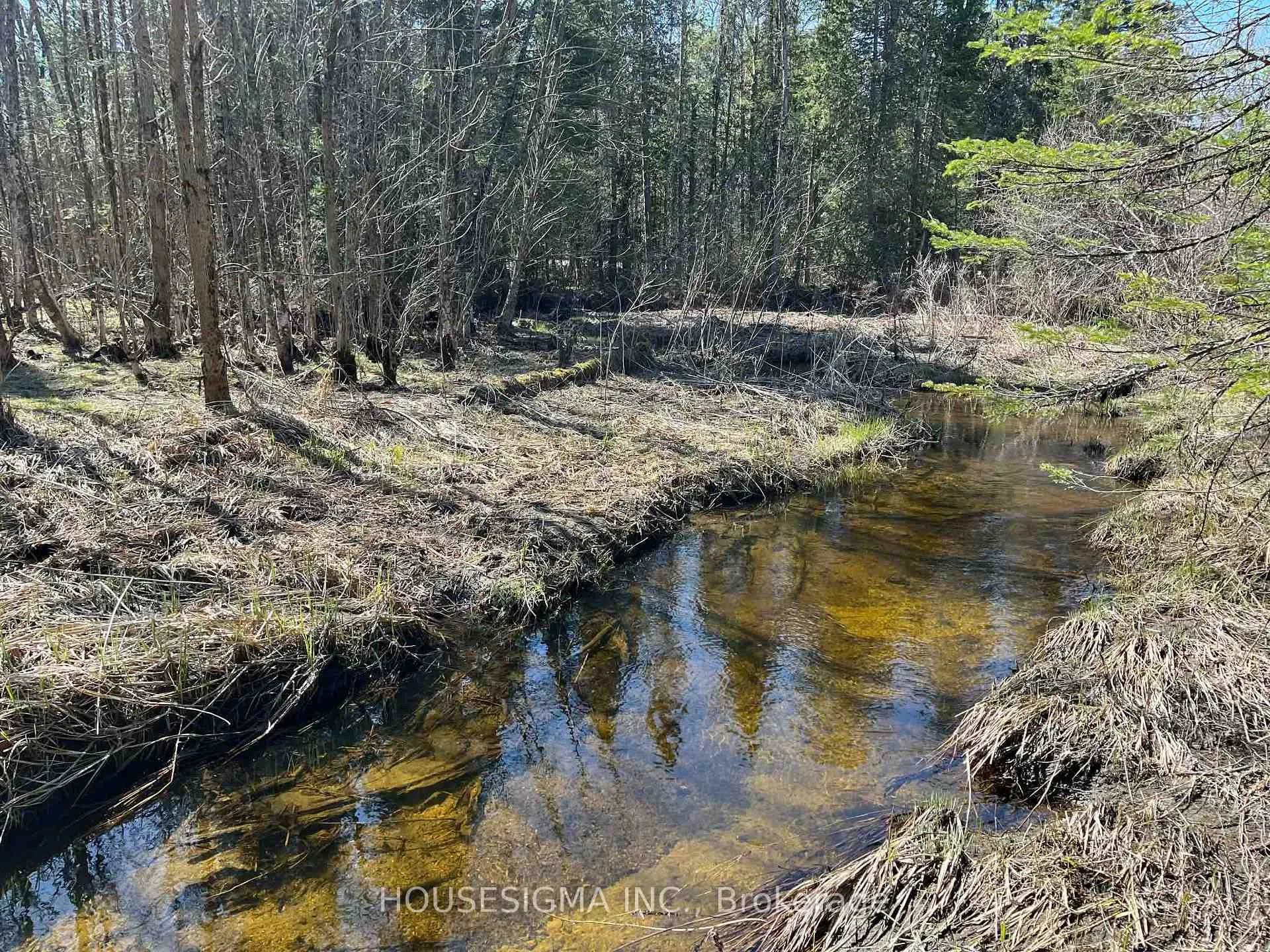 Photo of Con 14 PT Lot 17 Ward: 01 Buller Road