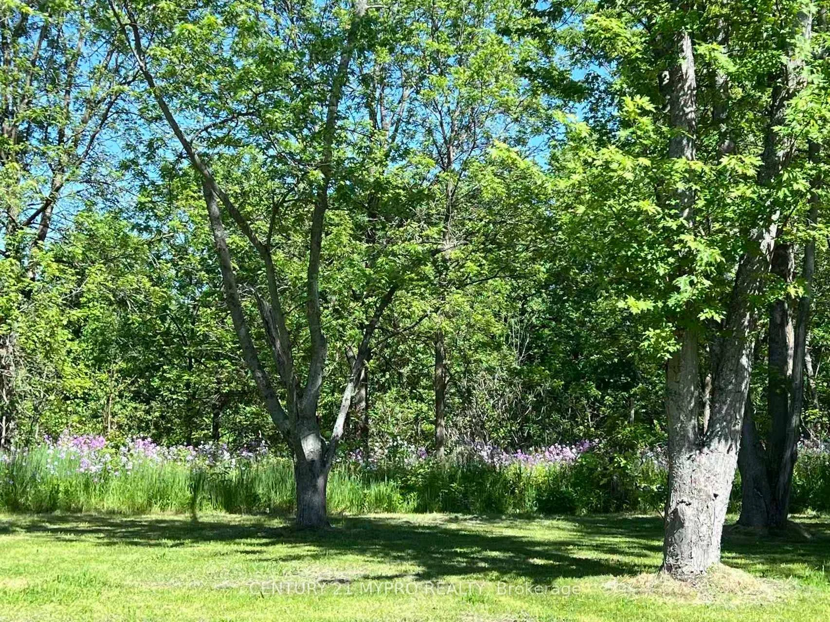 Photo 50 of 4395 4 Side Road, Burlington, Rural Burlington — HOMEH