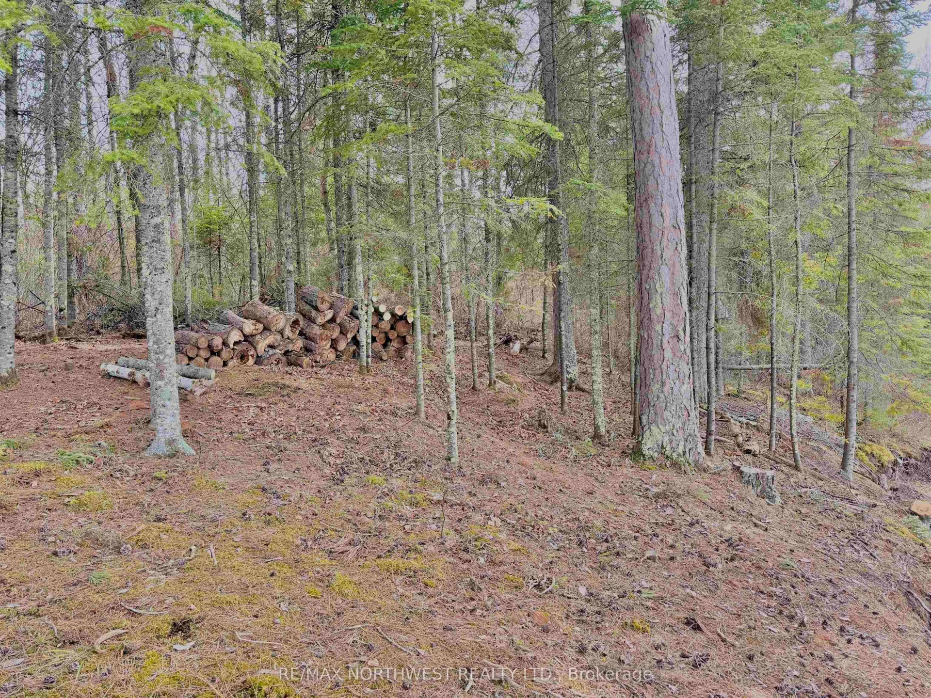 Photo 5 of PART 2 Wolf Island, Kenora Remote Area, Lake of the Woods North — HOMEH