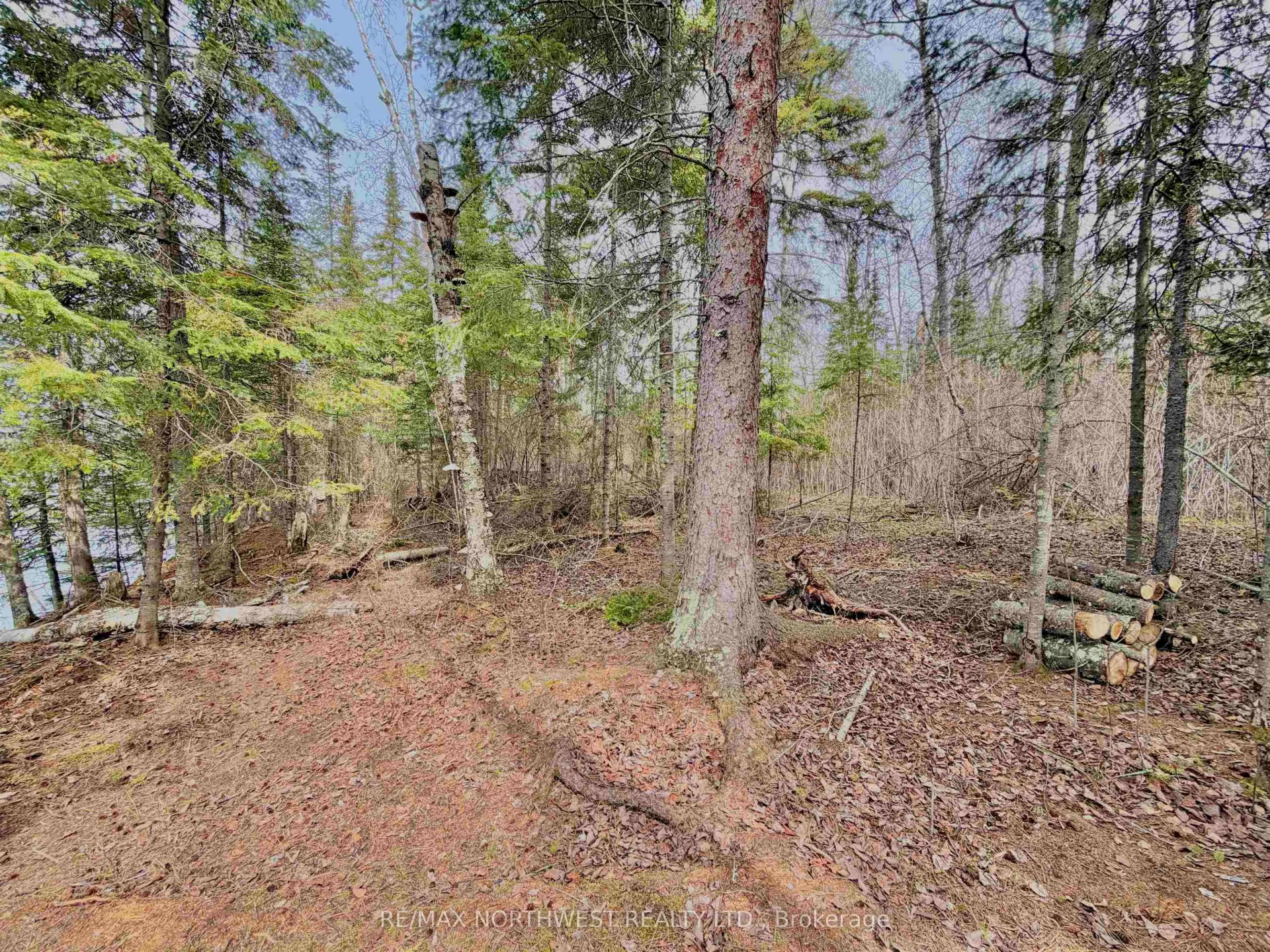 Photo 7 of PART 2 Wolf Island, Kenora Remote Area, Lake of the Woods North — HOMEH