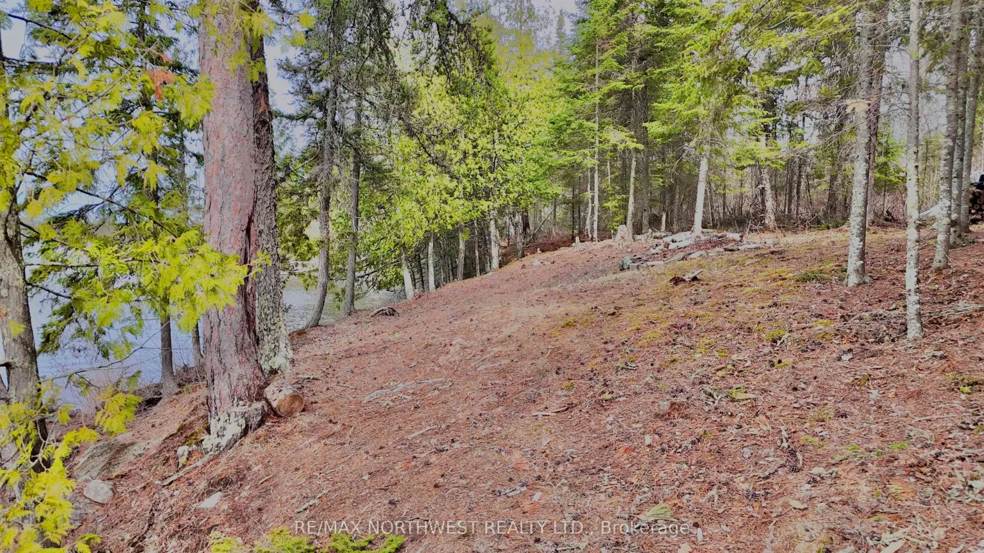Photo 14 of PART 2 Wolf Island, Kenora Remote Area, Lake of the Woods North — HOMEH