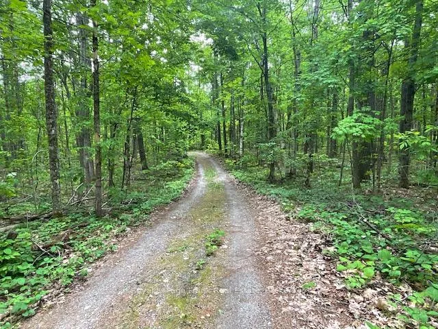 Photo 29 of 2848 County Road 36, Trent Lakes — HOMEH