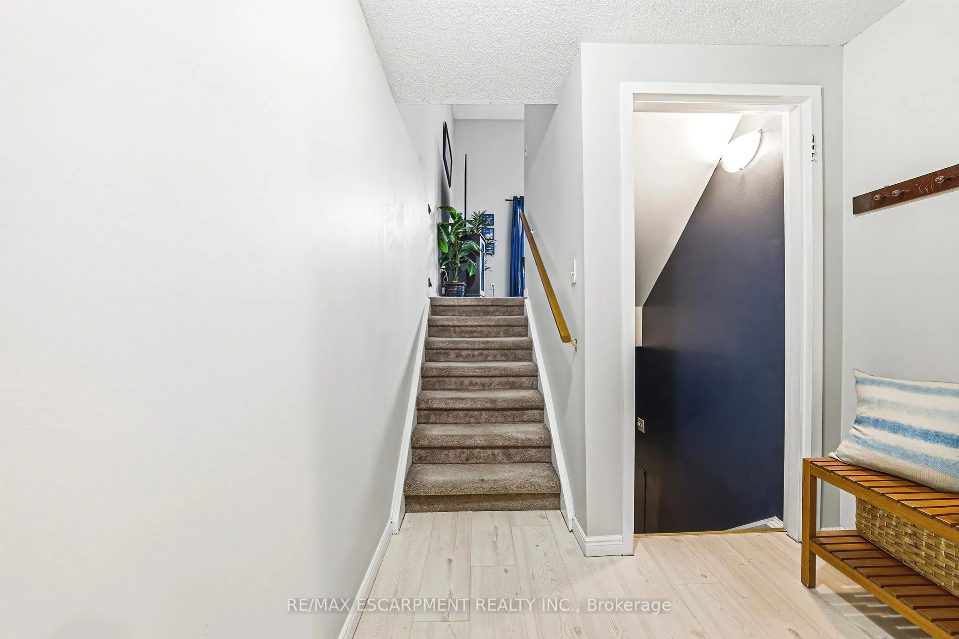 Photo 5 of Unit 91, 11 Harrisford Street, Hamilton, Red Hill — HOMEH