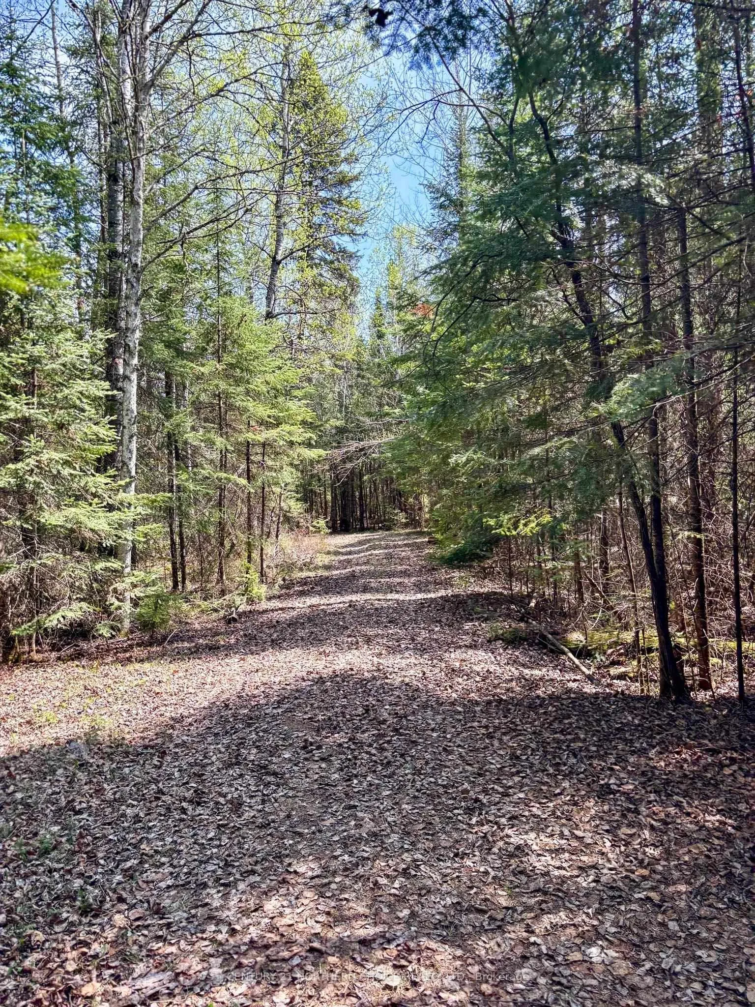 Photo 2 of 12 Catastrophe Lake, Kenora Remote Area, West of Kenora — HOMEH