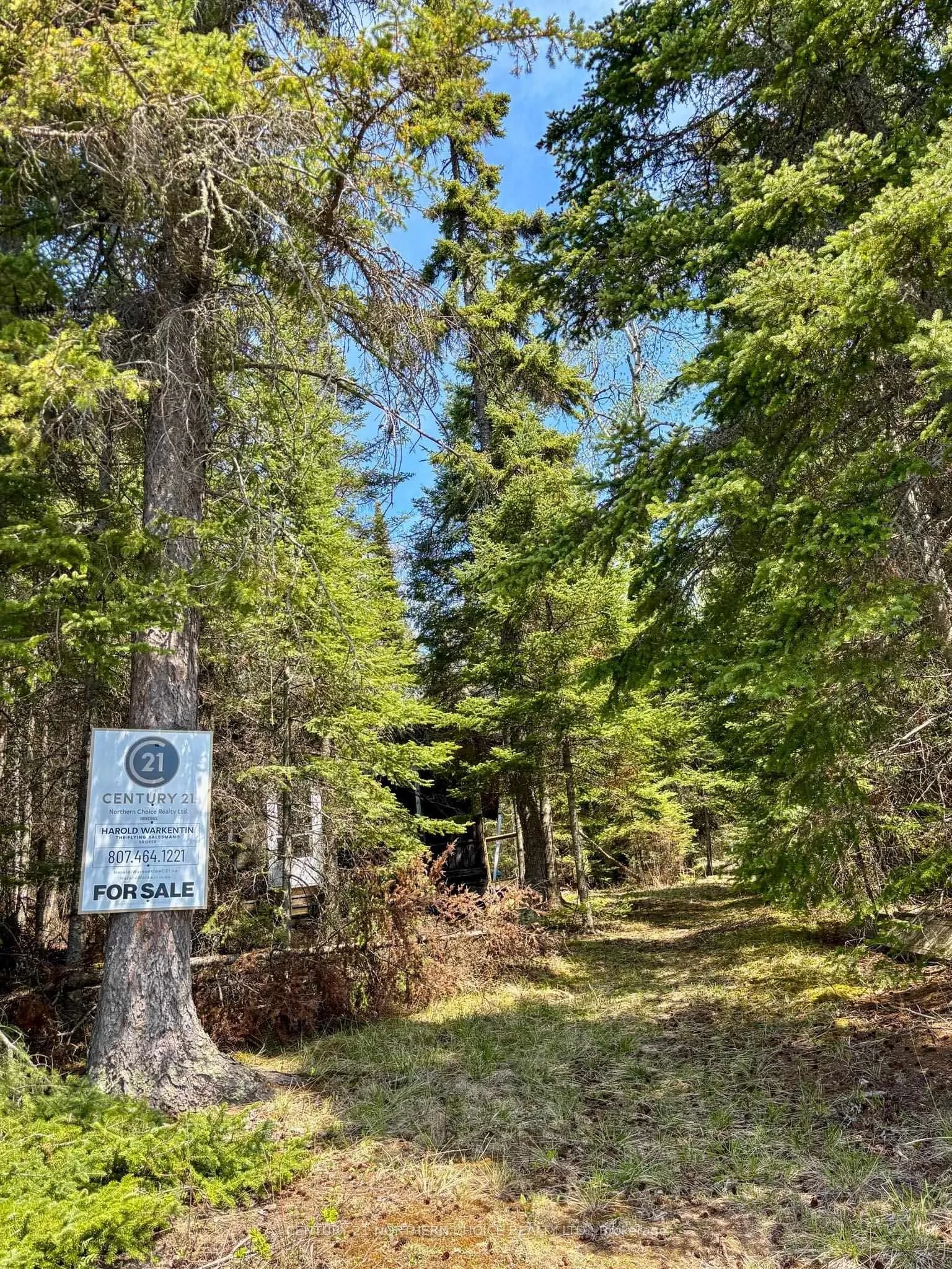 Photo 17 of 12 Catastrophe Lake, Kenora Remote Area, West of Kenora — HOMEH