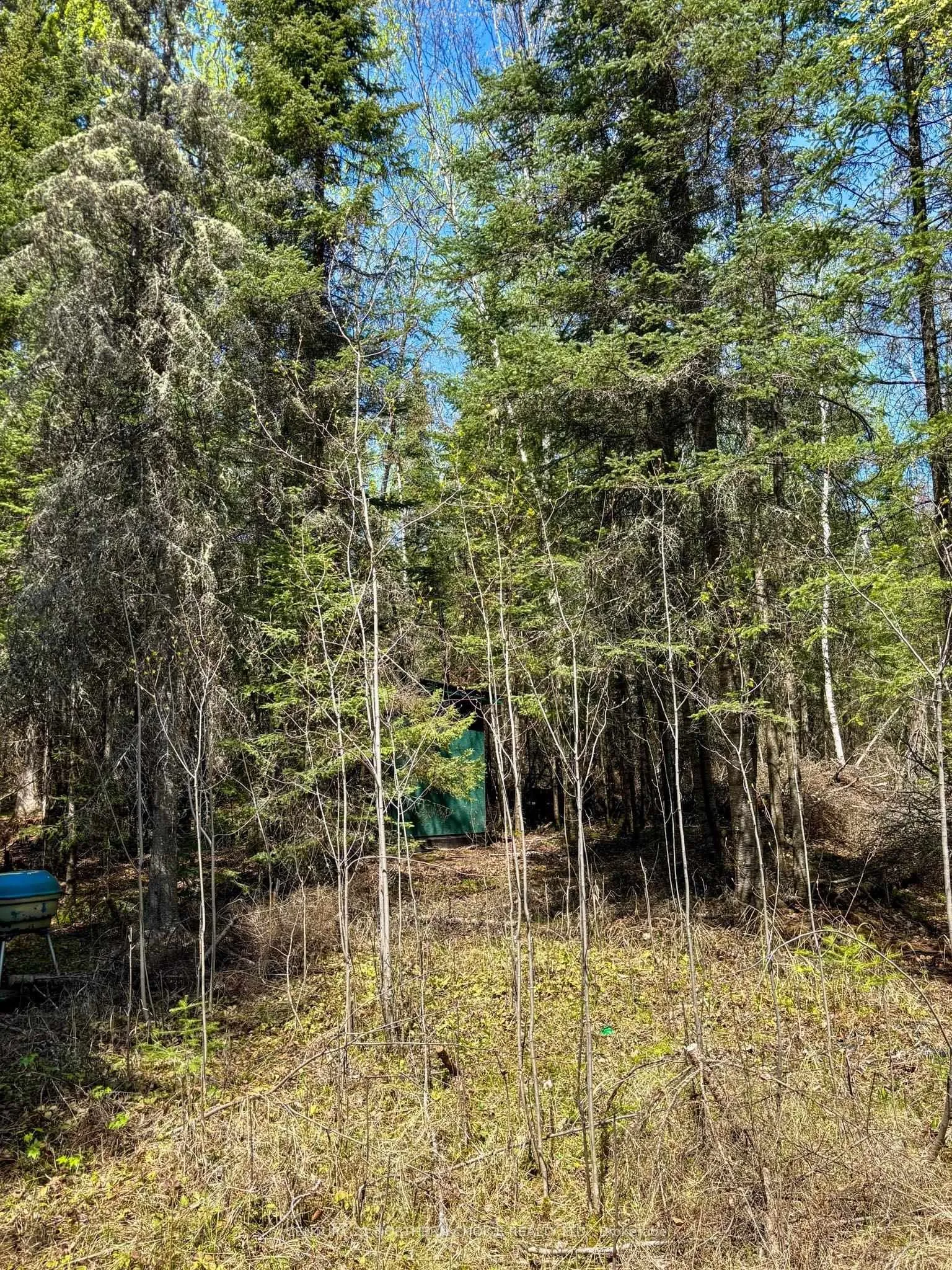 Photo 22 of 12 Catastrophe Lake, Kenora Remote Area, West of Kenora — HOMEH
