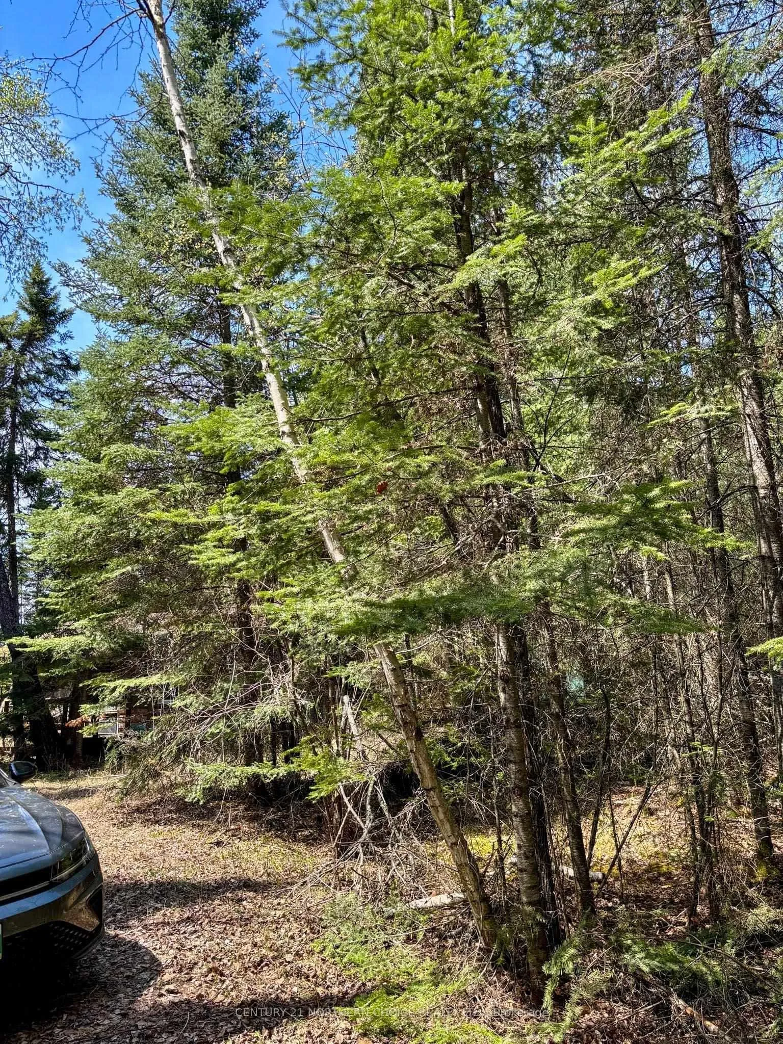 Photo 24 of 12 Catastrophe Lake, Kenora Remote Area, West of Kenora — HOMEH