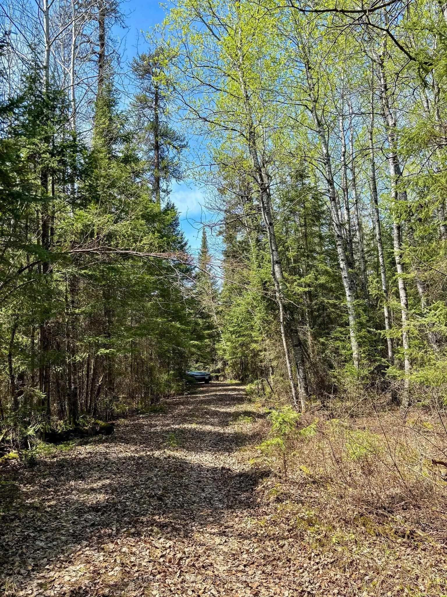 Photo 25 of 12 Catastrophe Lake, Kenora Remote Area, West of Kenora — HOMEH