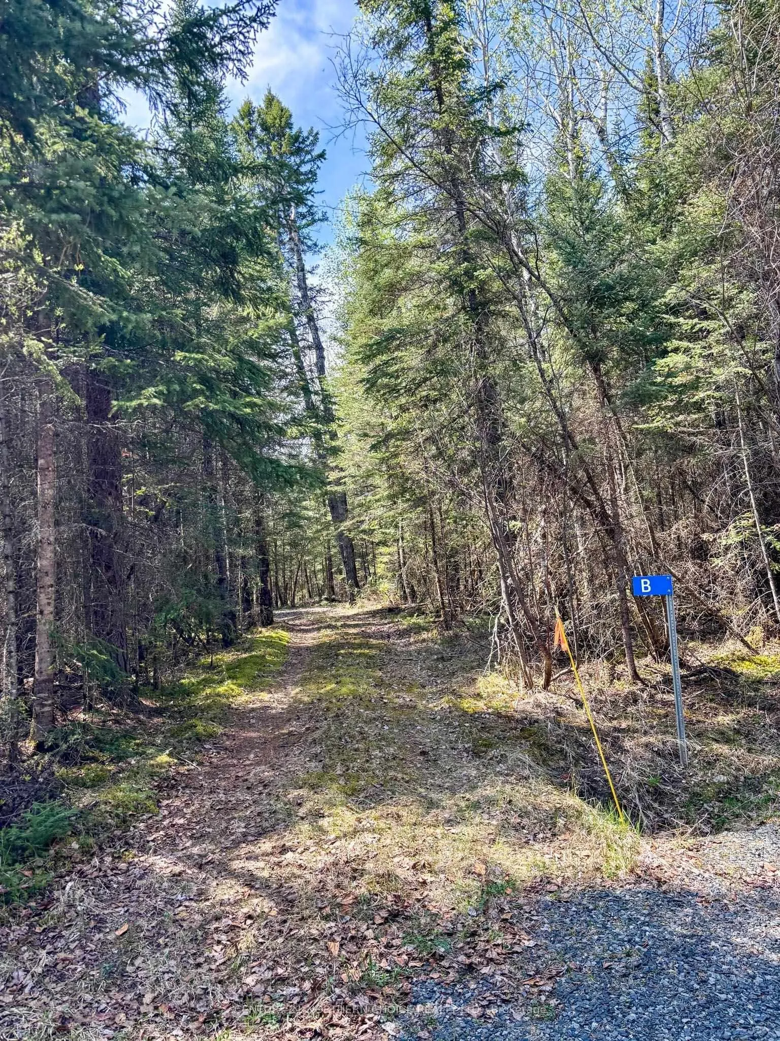 Photo 27 of 12 Catastrophe Lake, Kenora Remote Area, West of Kenora — HOMEH