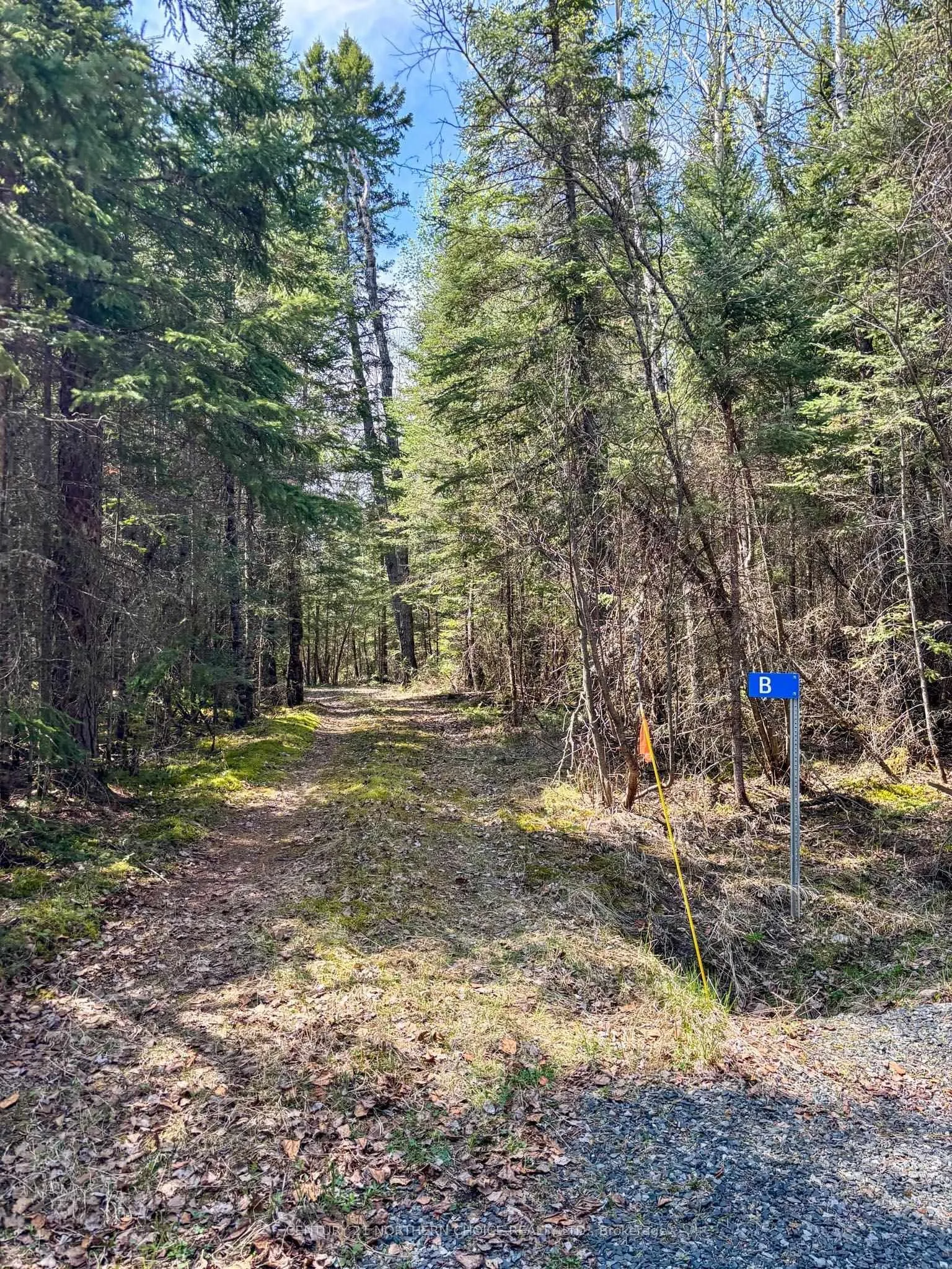 Photo 28 of 12 Catastrophe Lake, Kenora Remote Area, West of Kenora — HOMEH