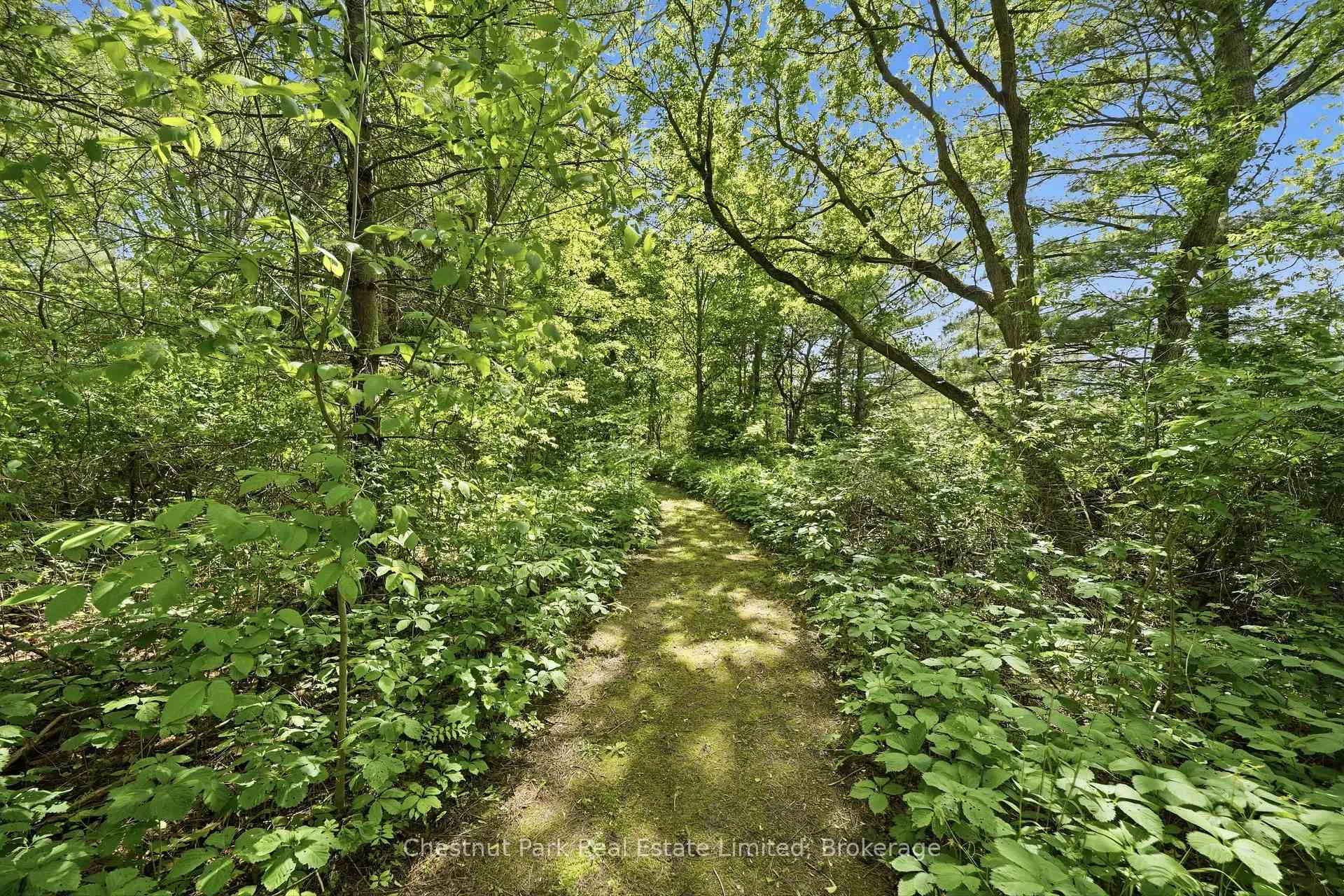 Photo 43 of 352 County Road 10, Prince Edward County, South Marysburg Ward — HOMEH