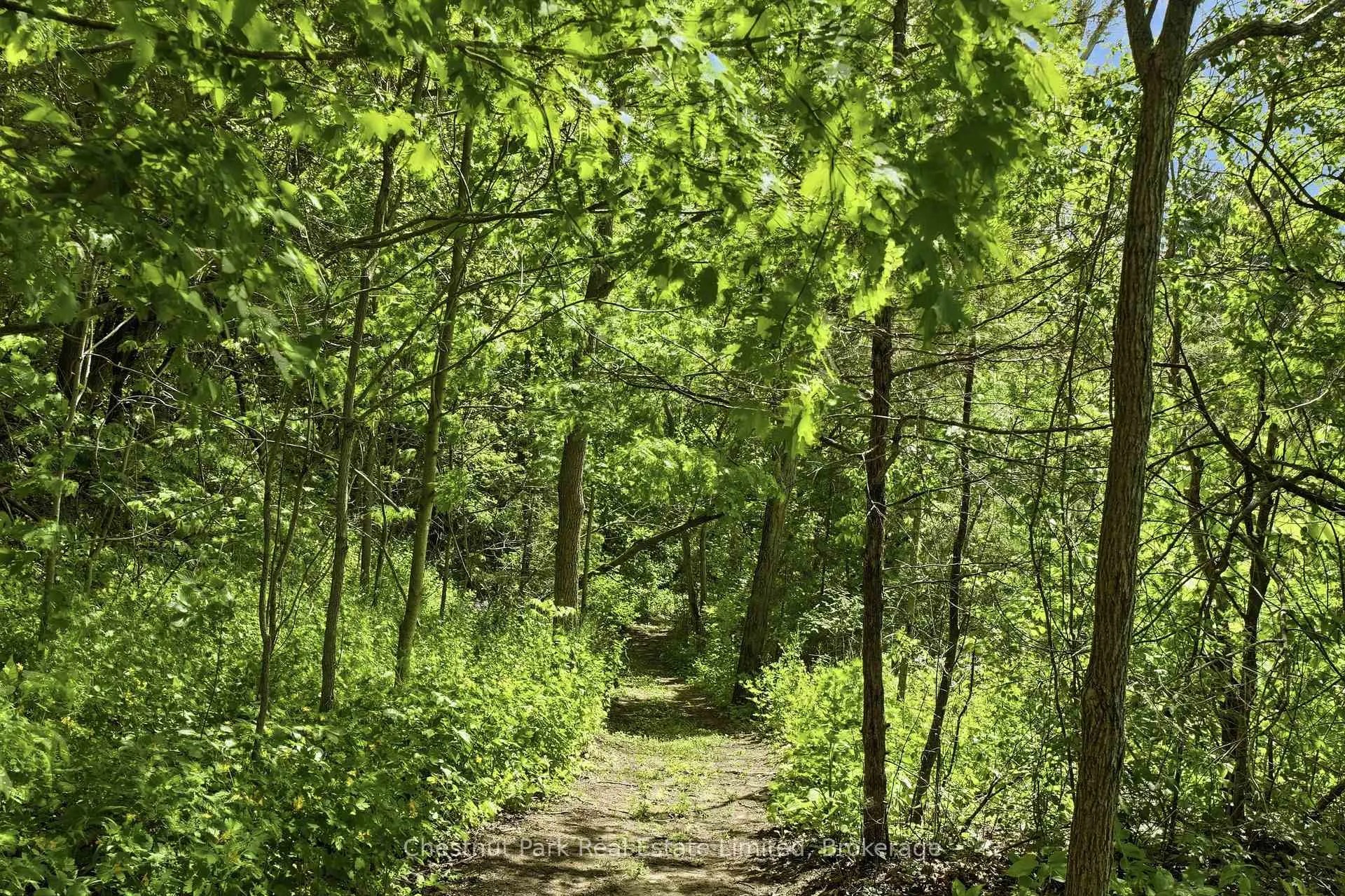 Photo 45 of 352 County Road 10, Prince Edward County, South Marysburg Ward — HOMEH