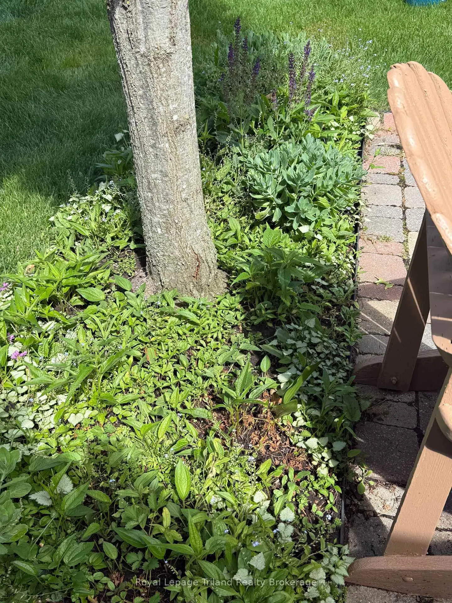Photo 33 of 121 Weston Drive, Tillsonburg — HOMEH