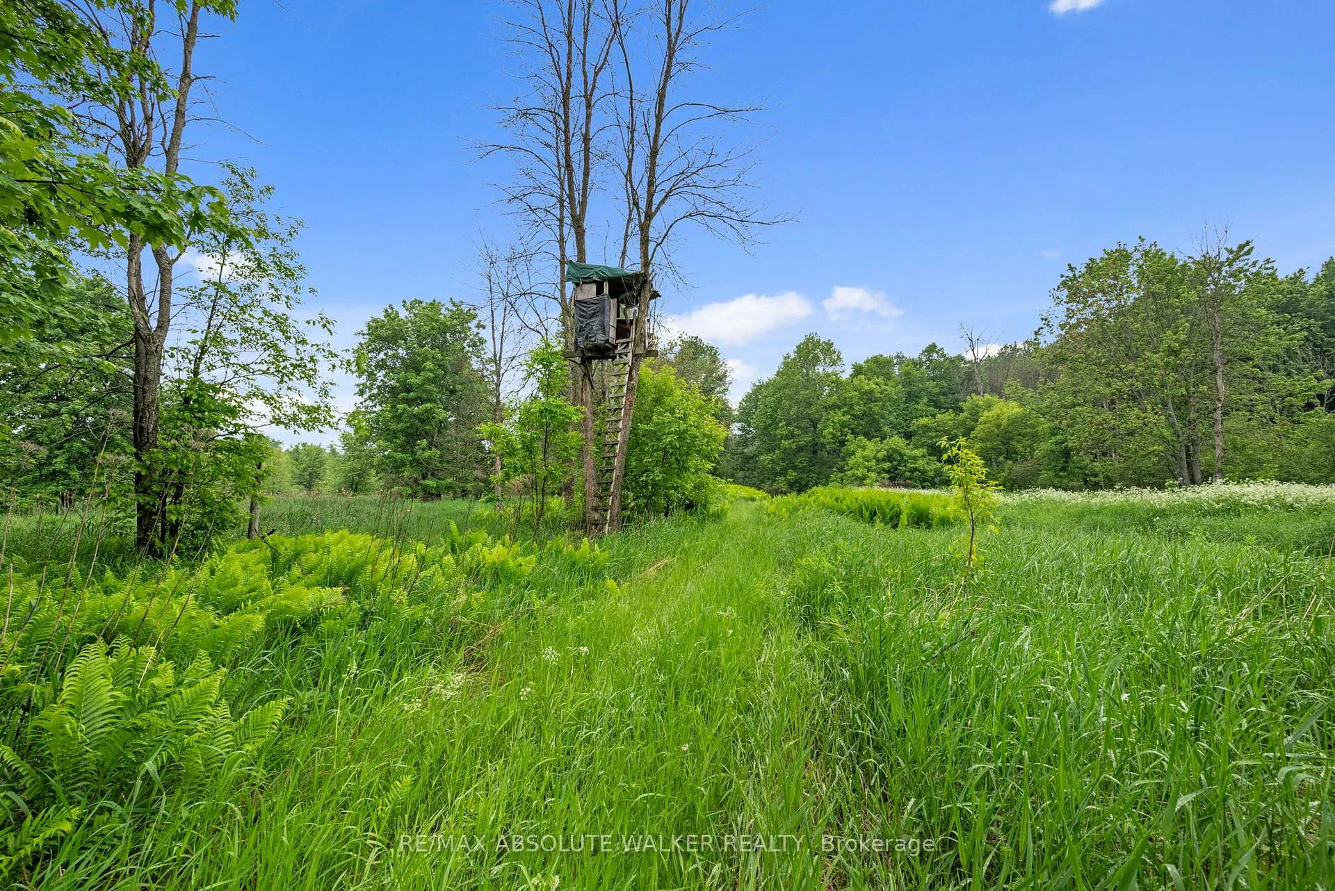 Photo 87 of 18668 Kenyon Concession 2 Road, North Glengarry, North Glengarry (Kenyon) Twp — HOMEH