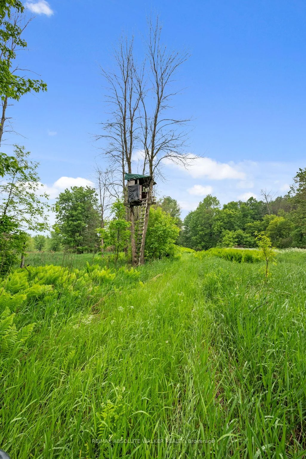 Photo 88 of 18668 Kenyon Concession 2 Road, North Glengarry, North Glengarry (Kenyon) Twp — HOMEH