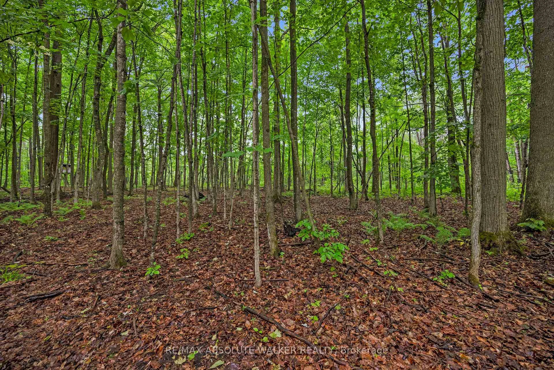 Photo 89 of 18668 Kenyon Concession 2 Road, North Glengarry, North Glengarry (Kenyon) Twp — HOMEH