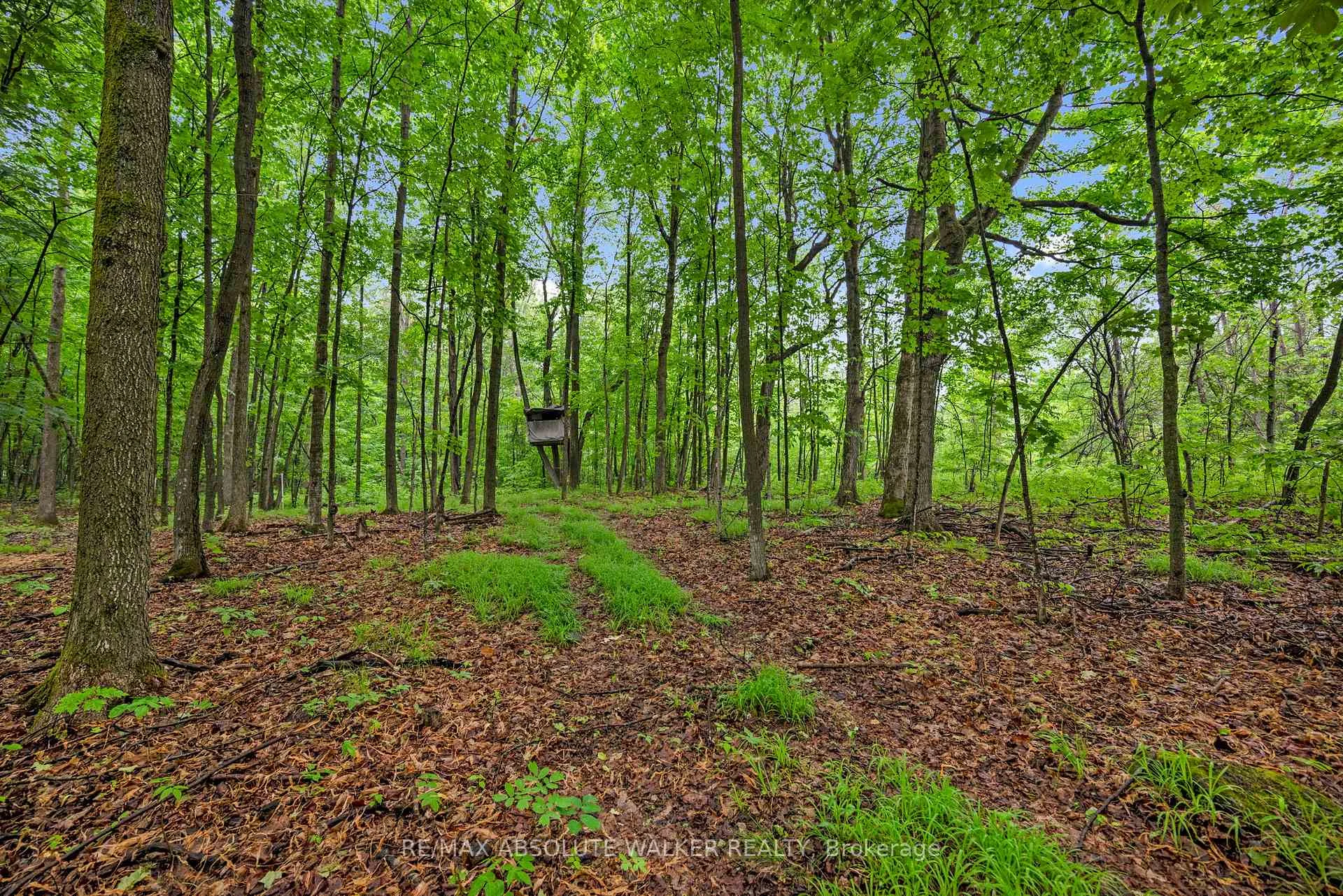 Photo 90 of 18668 Kenyon Concession 2 Road, North Glengarry, North Glengarry (Kenyon) Twp — HOMEH