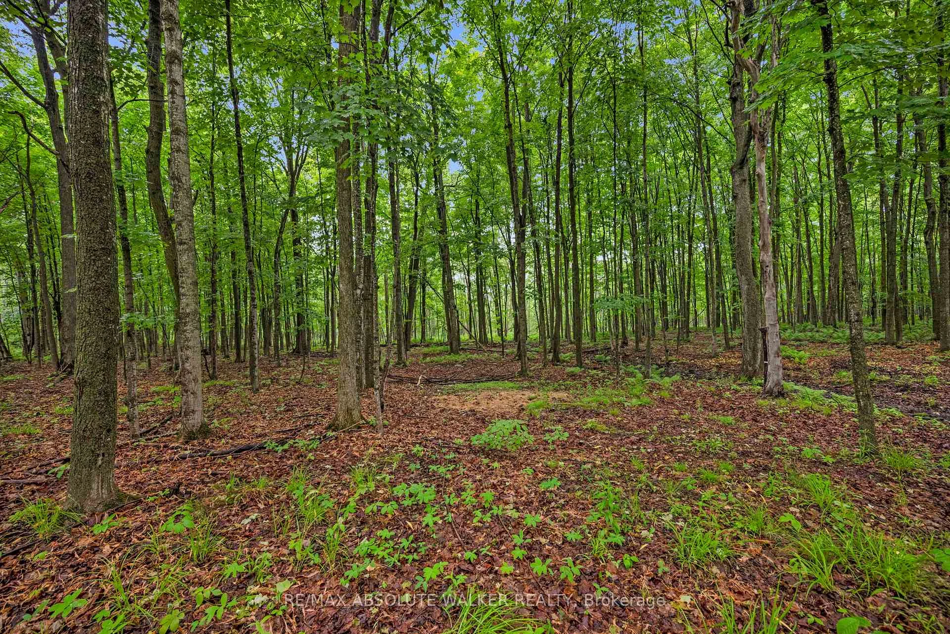 Photo 92 of 18668 Kenyon Concession 2 Road, North Glengarry, North Glengarry (Kenyon) Twp — HOMEH