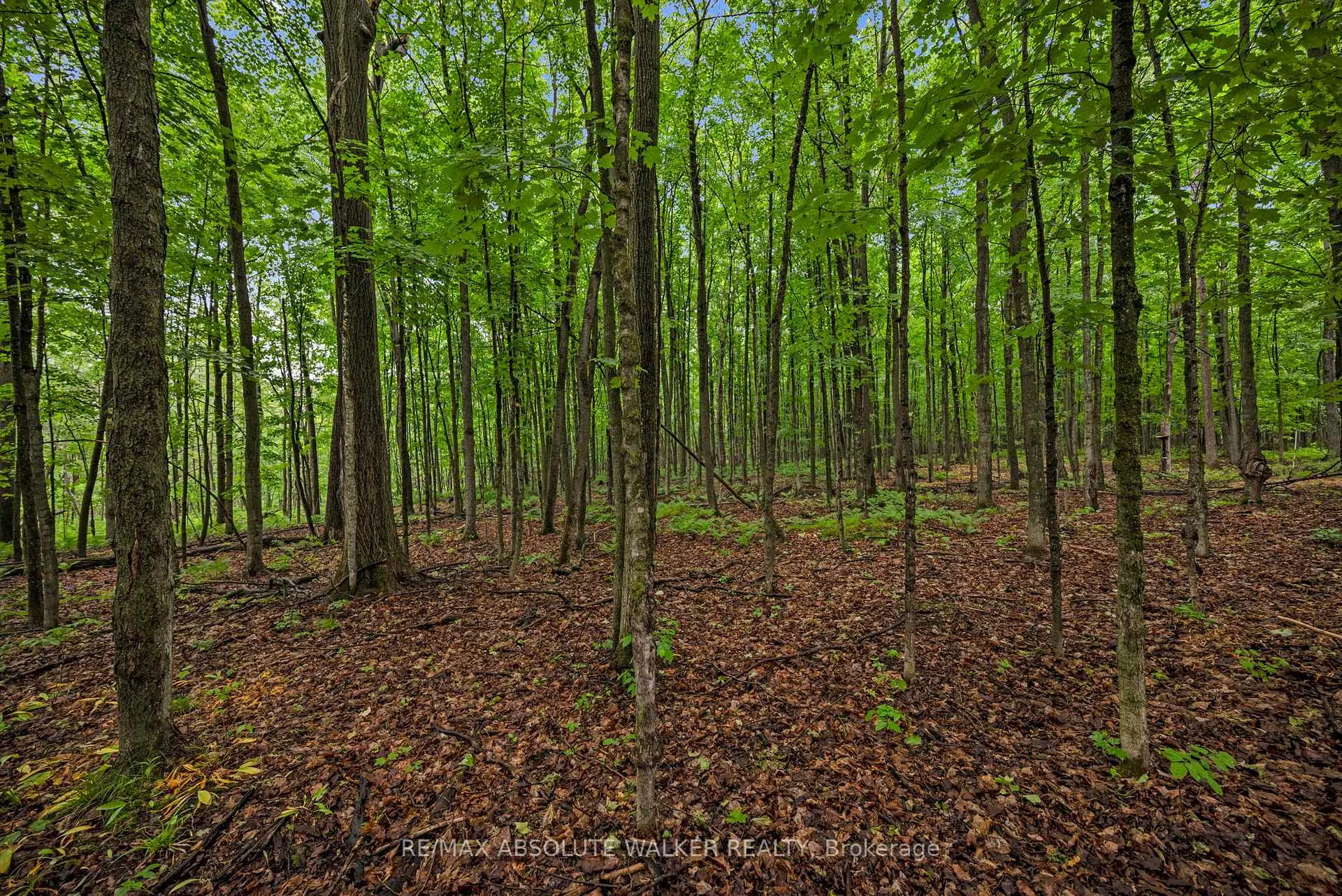 Photo 93 of 18668 Kenyon Concession 2 Road, North Glengarry, North Glengarry (Kenyon) Twp — HOMEH