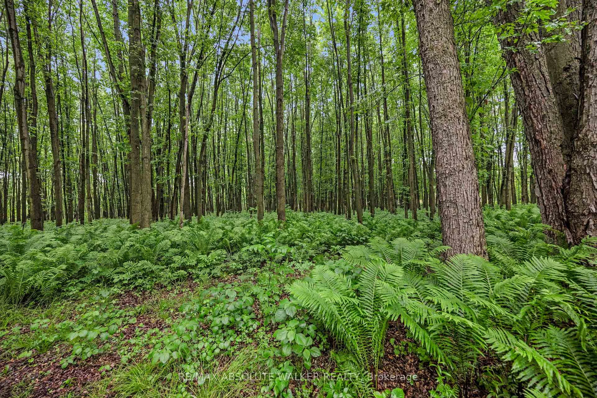 Photo 100 of 18668 Kenyon Concession 2 Road, North Glengarry, North Glengarry (Kenyon) Twp — HOMEH