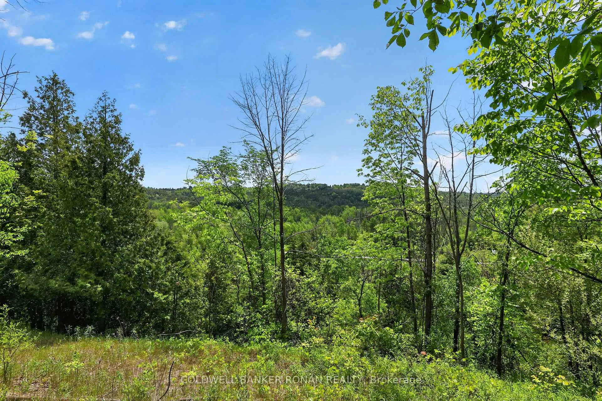 Photo 1 of 2946 Concession Rd 3, Adjala-Tosorontio, Rural Adjala-Tosorontio — HOMEH