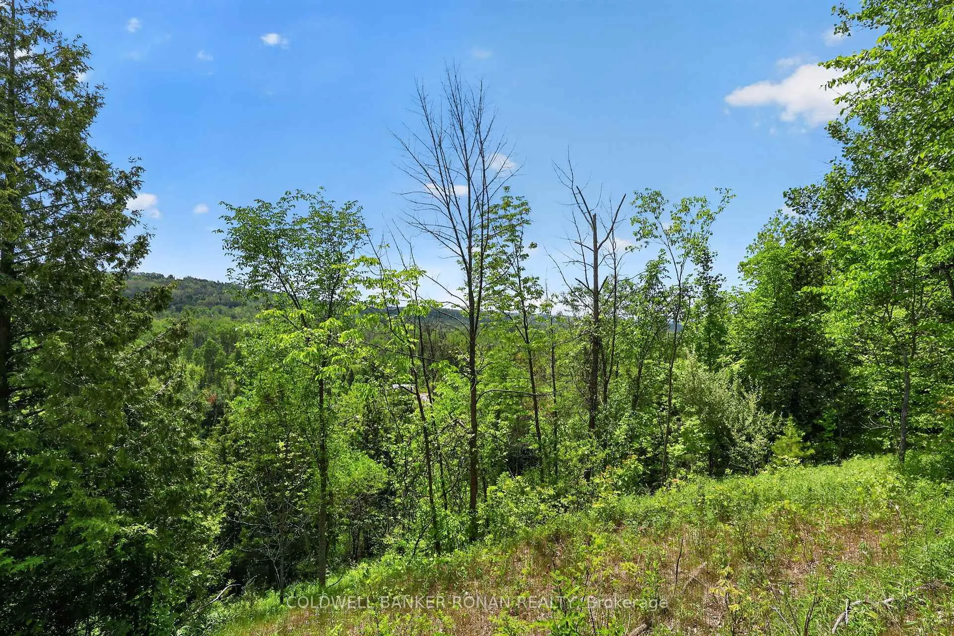 Photo 37 of 2946 Concession Rd 3, Adjala-Tosorontio, Rural Adjala-Tosorontio — HOMEH