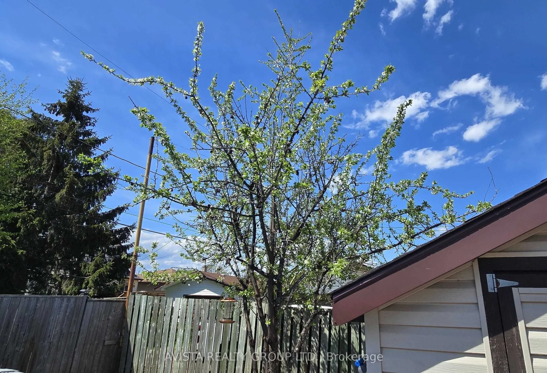 Photo 43 of 112 Walsh St West, Thunder Bay, Green Acres — HOMEH