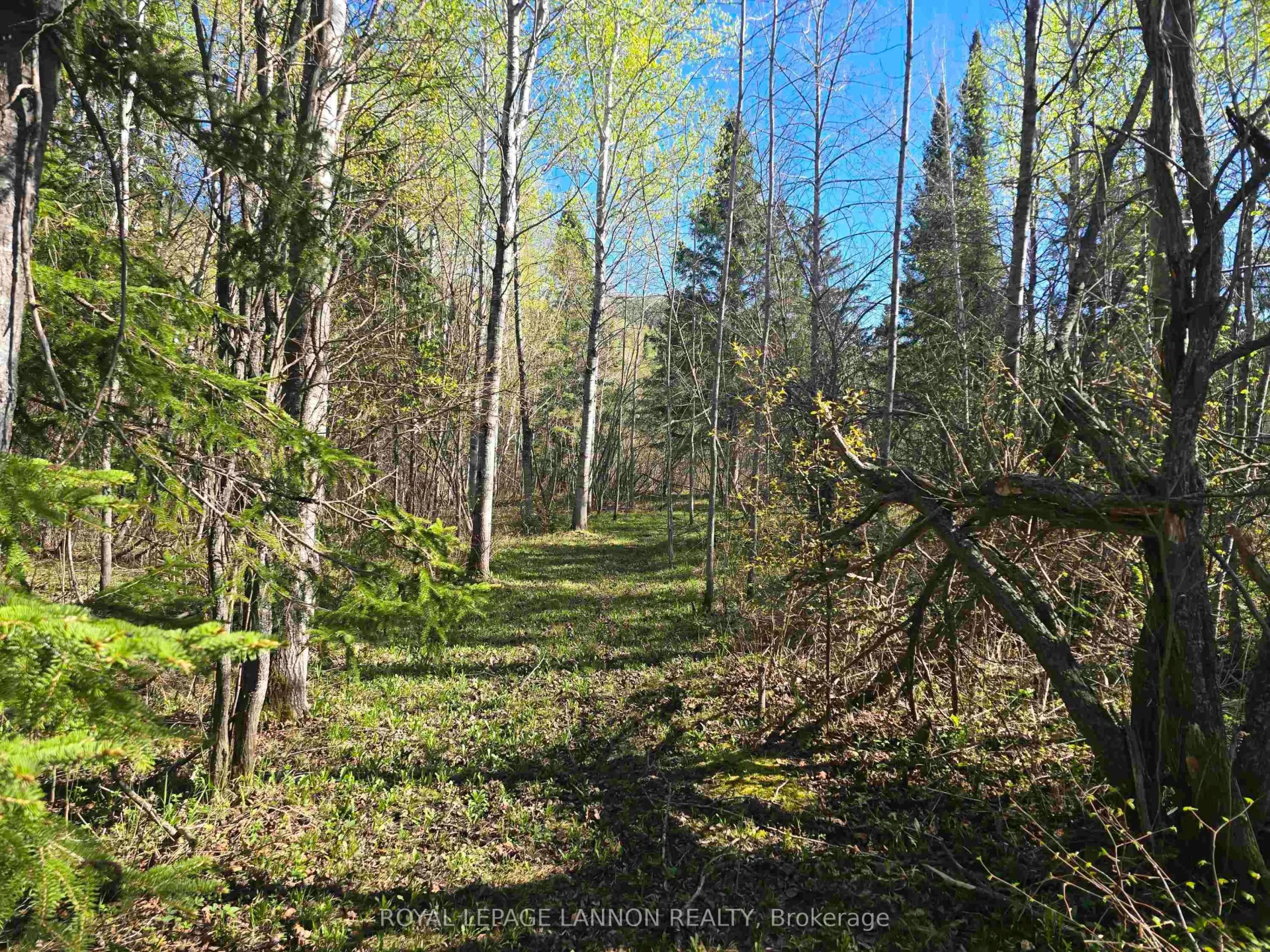 Photo 43 of 6301 Loch Lomond Rd, Thunder Bay, Mountain Road — HOMEH