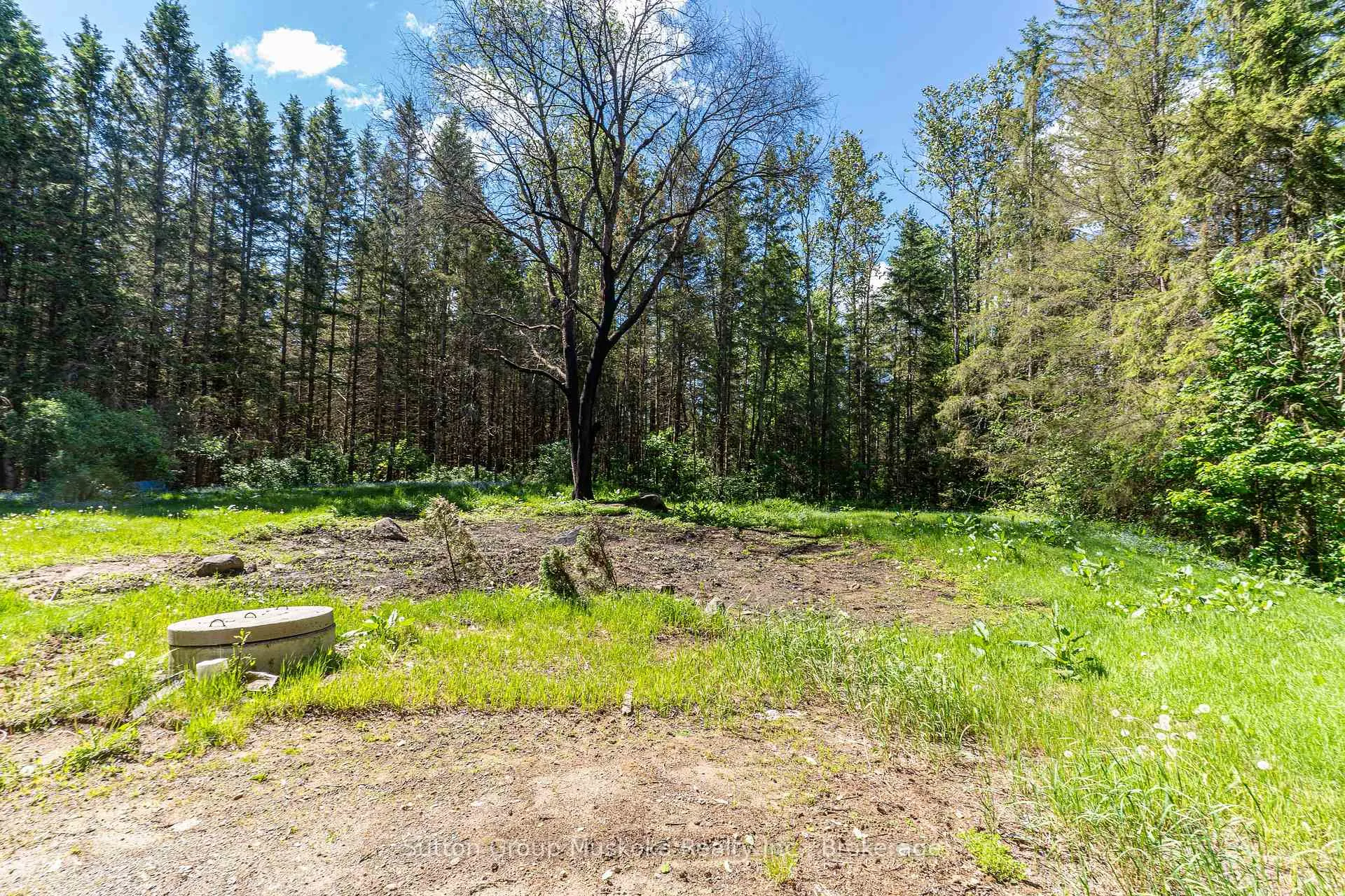 Photo 6 of 245 Hwy 518 E, Perry, Emsdale — HOMEH