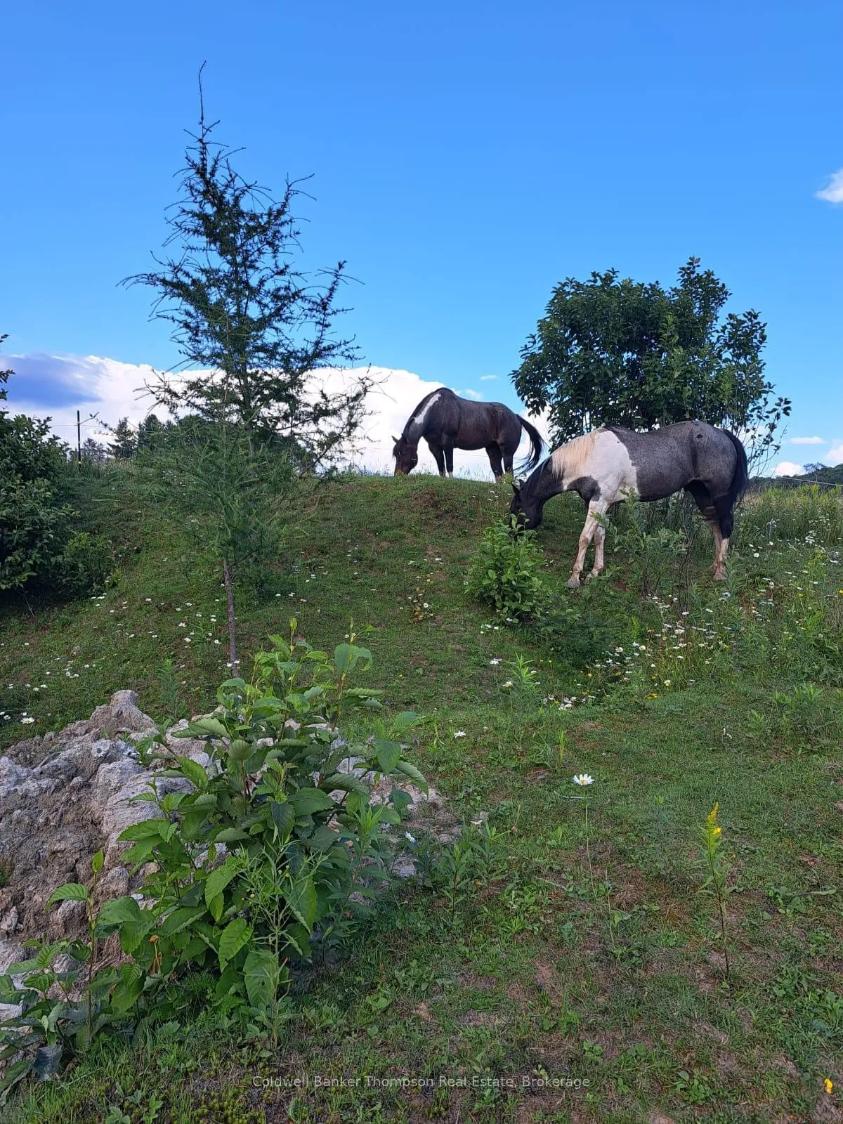 Photo 22 of 1202 Eagle Lake Road, Machar — HOMEH