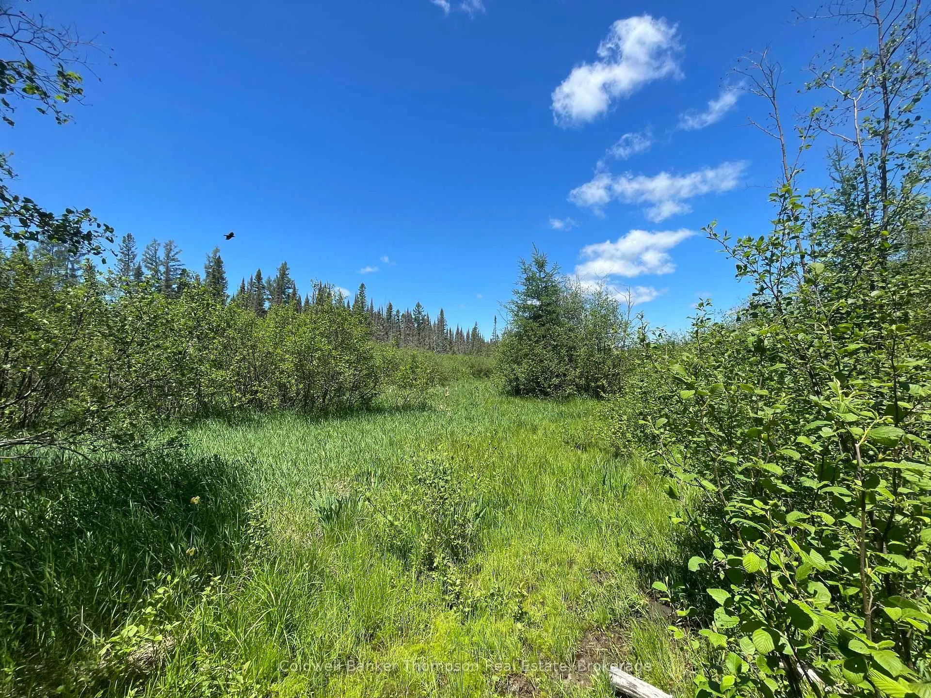 Photo 31 of 1202 Eagle Lake Road, Machar — HOMEH
