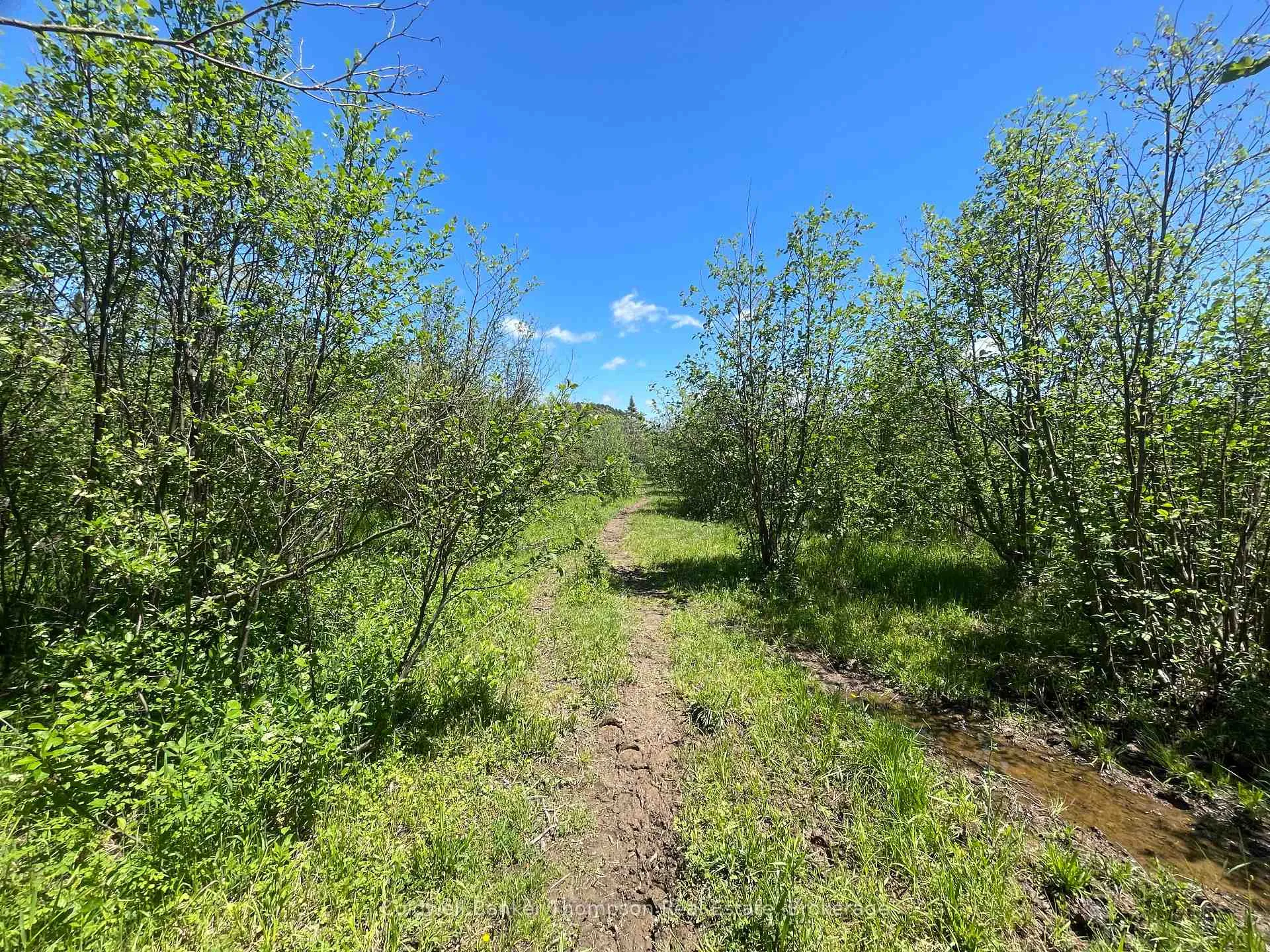 Photo 33 of 1202 Eagle Lake Road, Machar — HOMEH