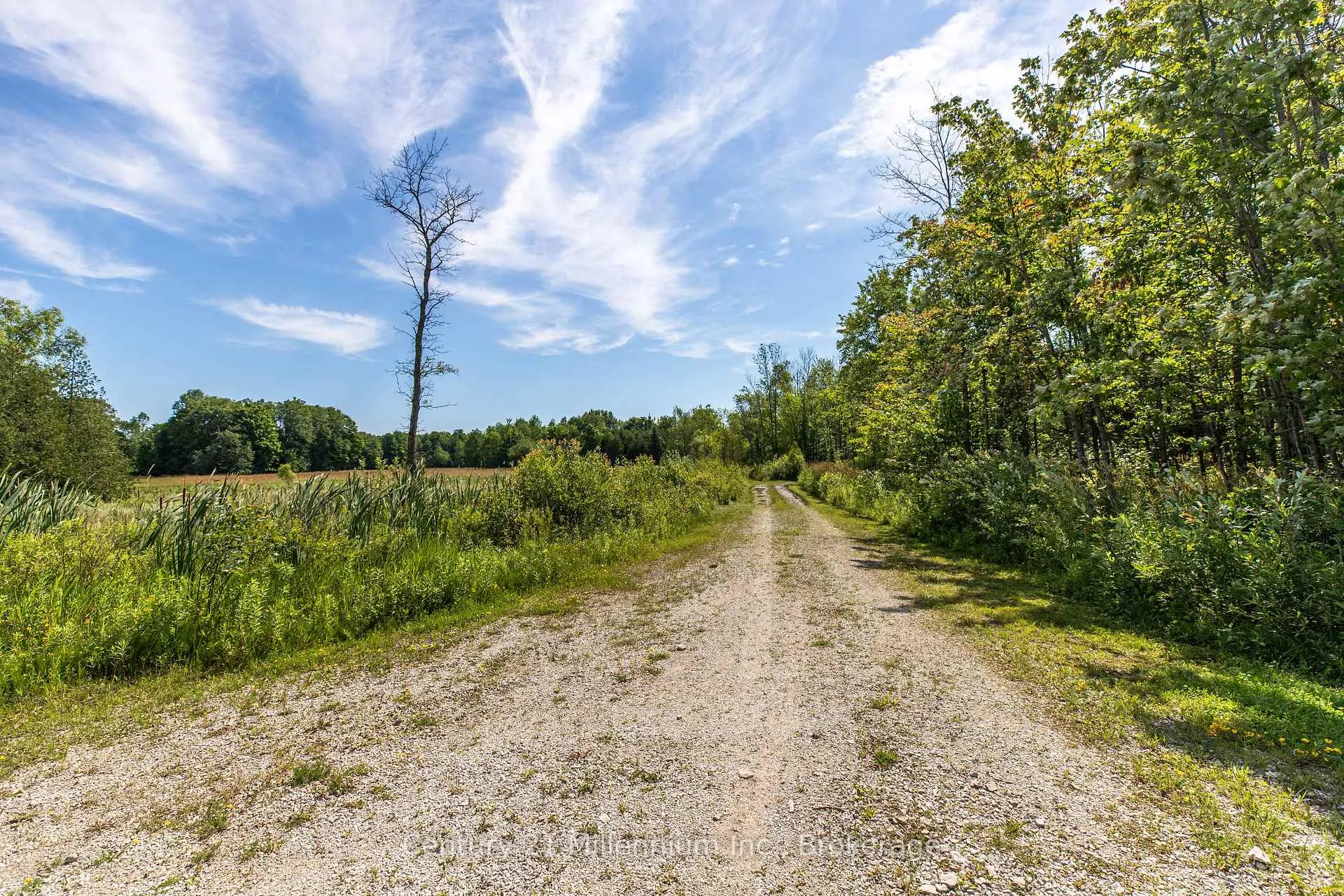 Photo 11 of Lt 16 Concession 16 Road, Georgian Bluffs — HOMEH