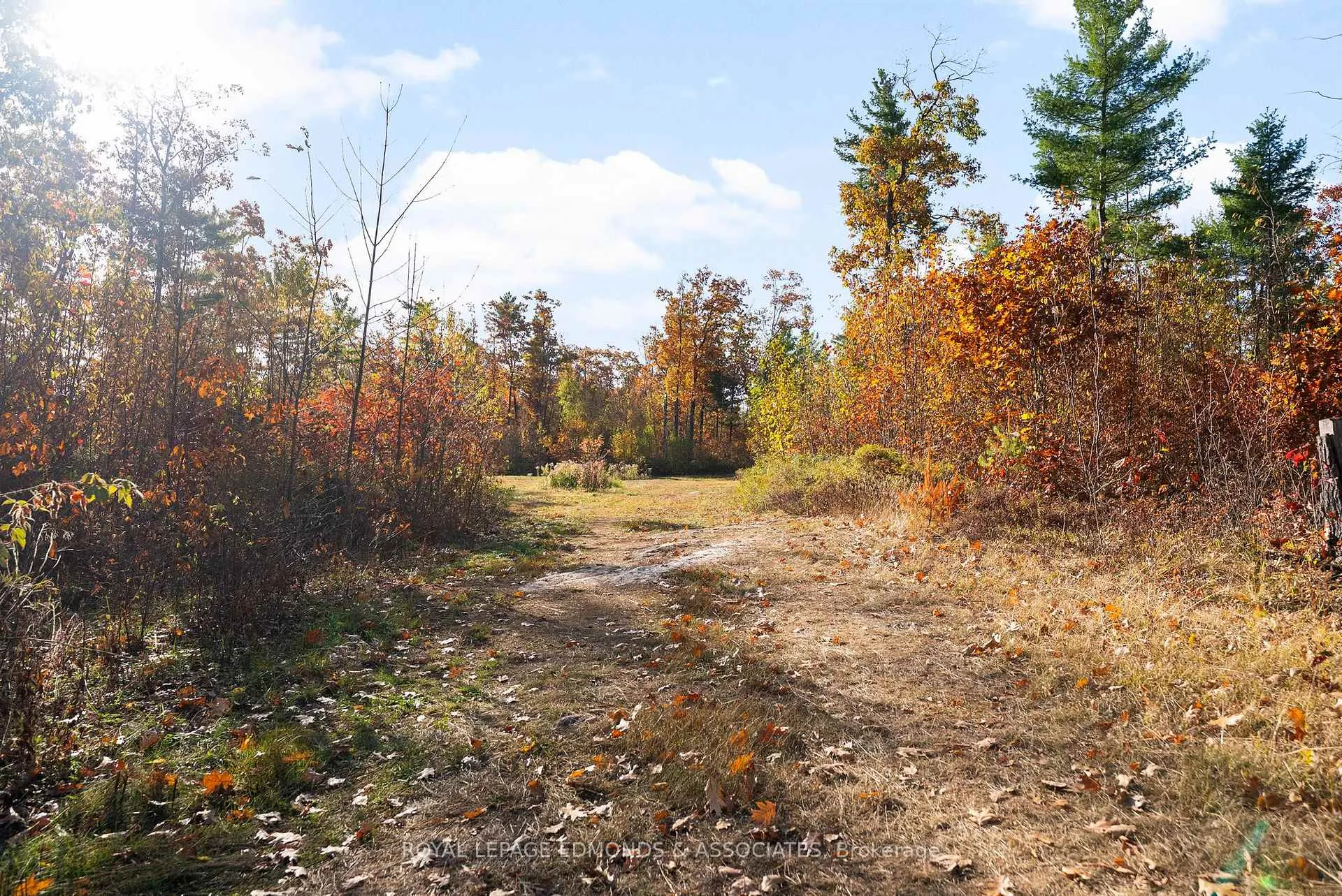 Photo 10 of Reiche Road, North Algona Wilberforce, North Algona/Wilberforce Twp — HOMEH