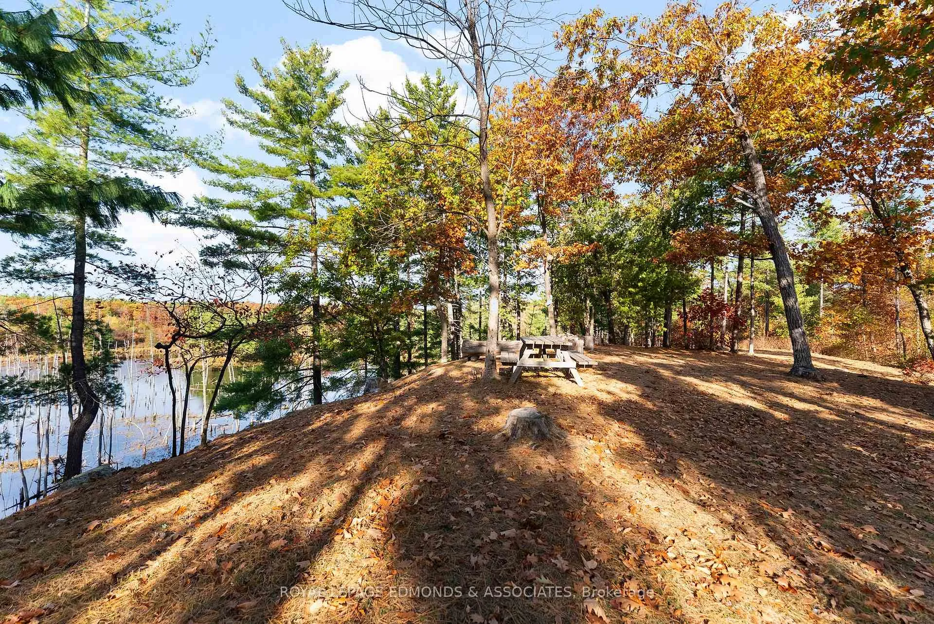 Photo 12 of Reiche Road, North Algona Wilberforce, North Algona/Wilberforce Twp — HOMEH