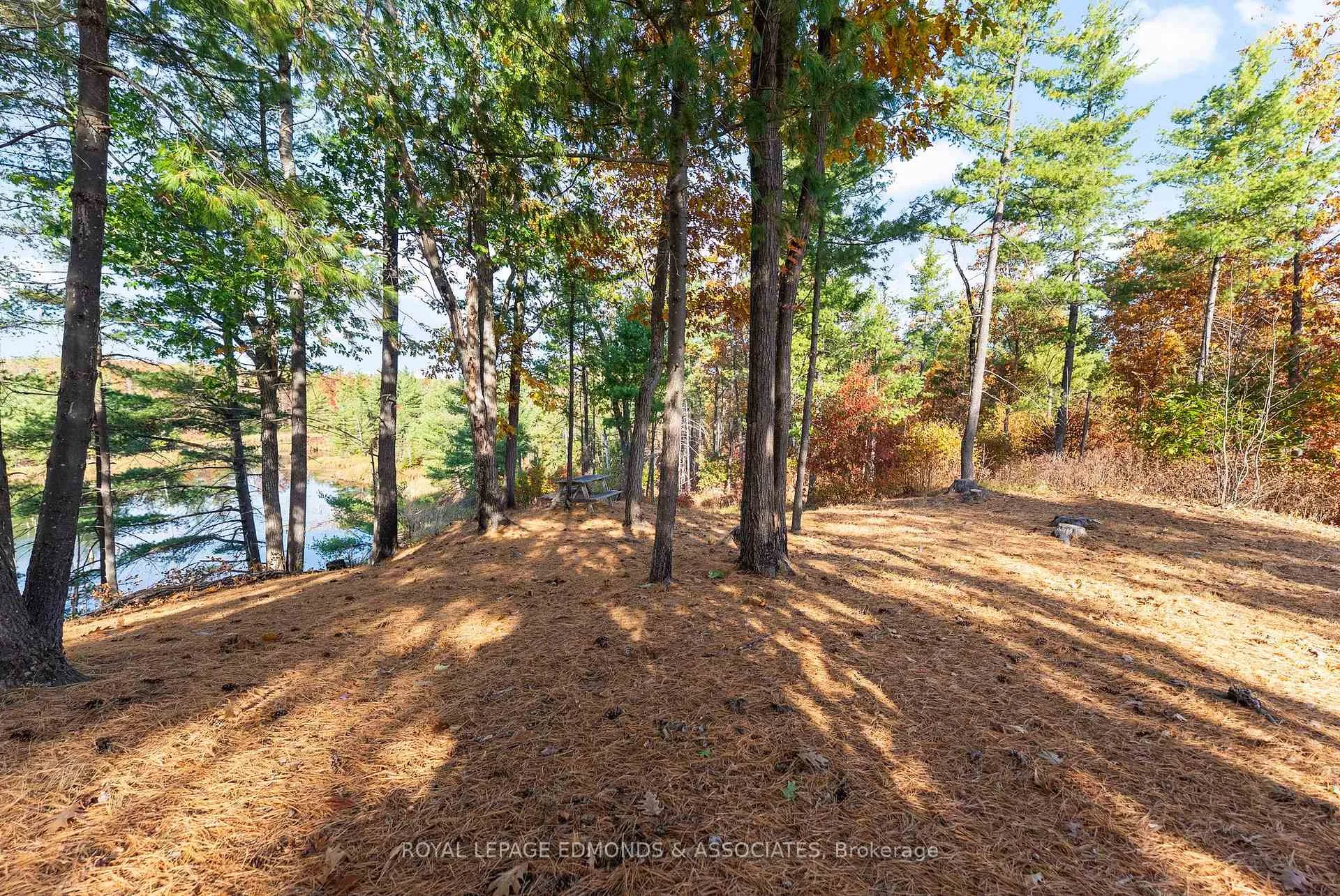 Photo 13 of Reiche Road, North Algona Wilberforce, North Algona/Wilberforce Twp — HOMEH