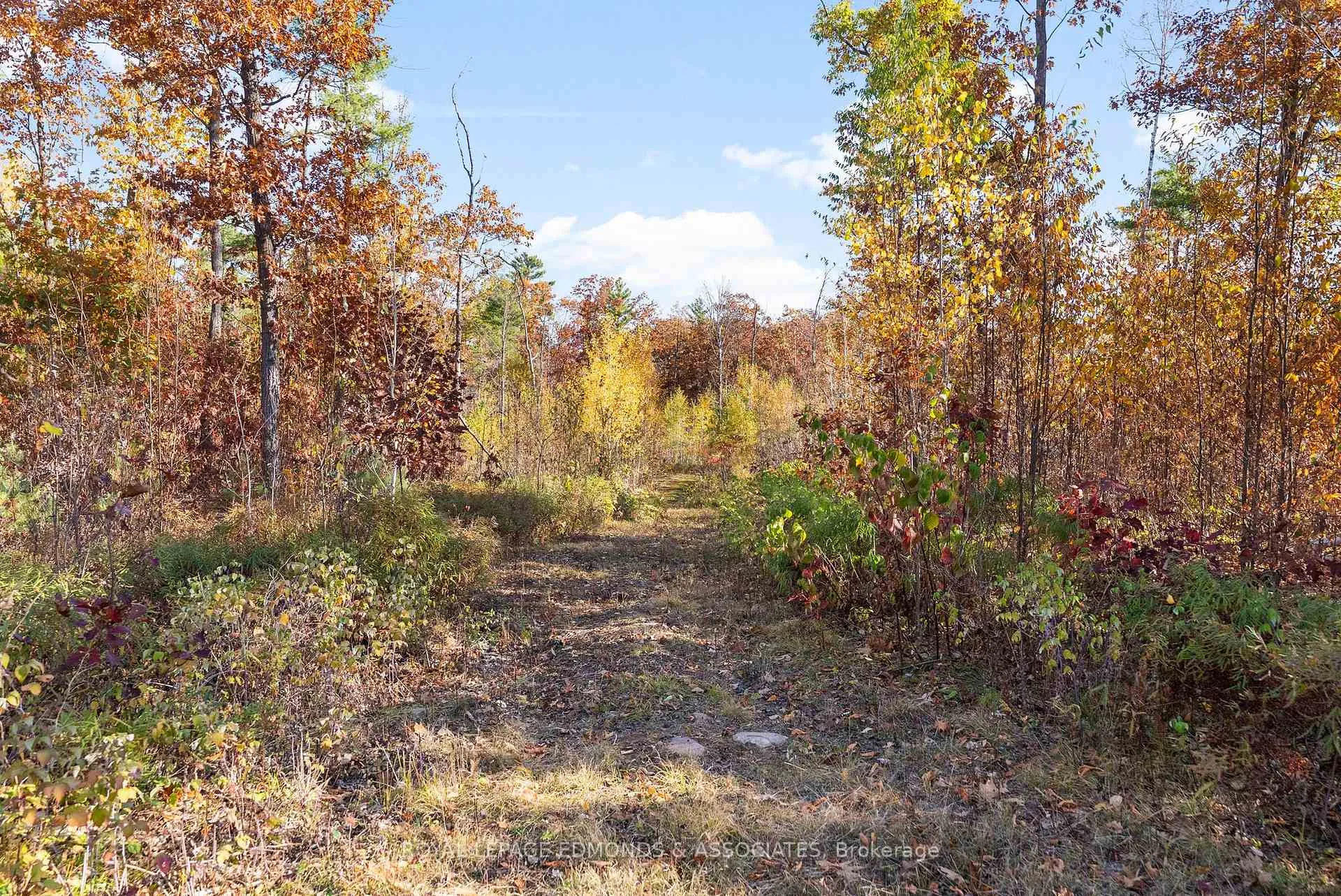 Photo 19 of Reiche Road, North Algona Wilberforce, North Algona/Wilberforce Twp — HOMEH