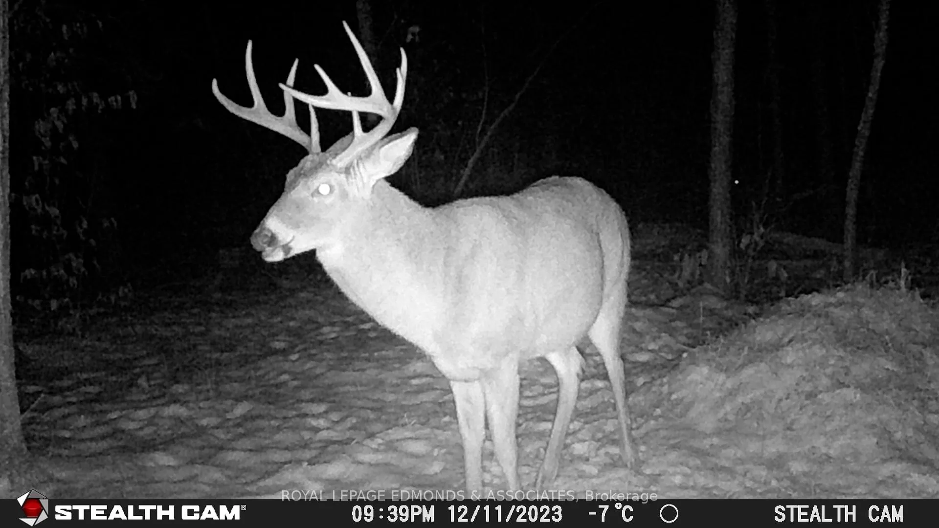 Photo 26 of Reiche Road, North Algona Wilberforce, North Algona/Wilberforce Twp — HOMEH