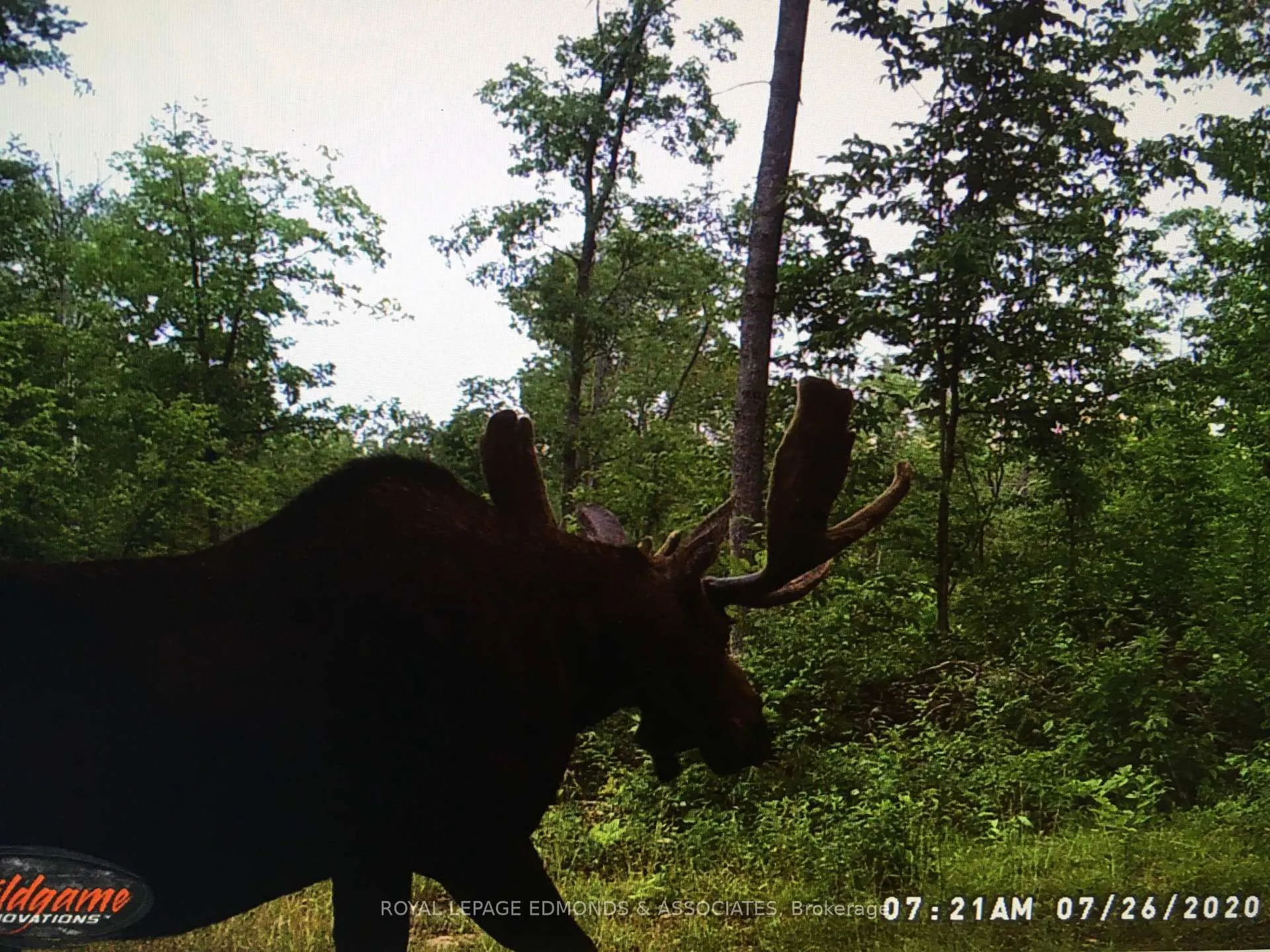 Photo 29 of Reiche Road, North Algona Wilberforce, North Algona/Wilberforce Twp — HOMEH